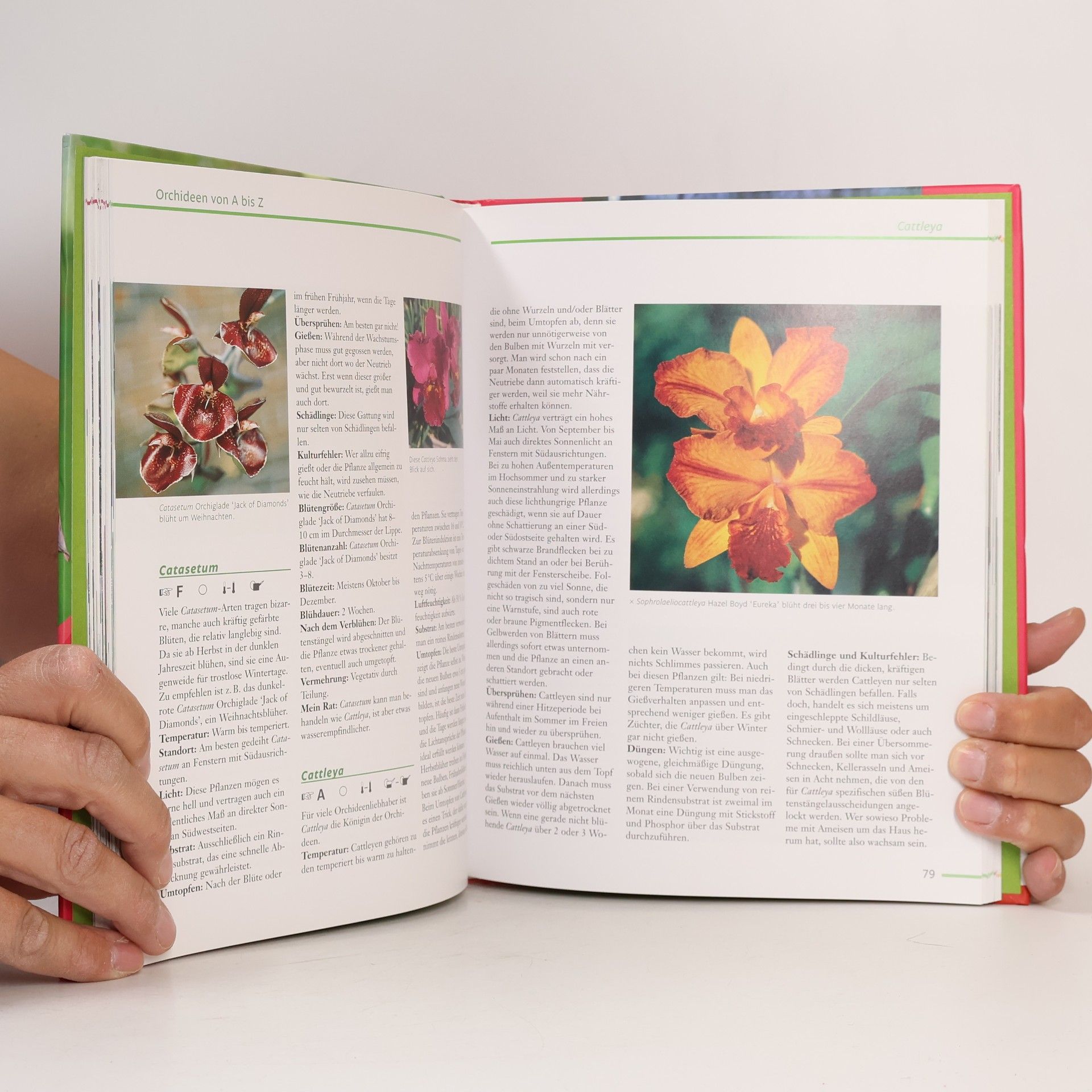 Brigitte Goede Das Orchideen-Buch für Fortgeschrittene