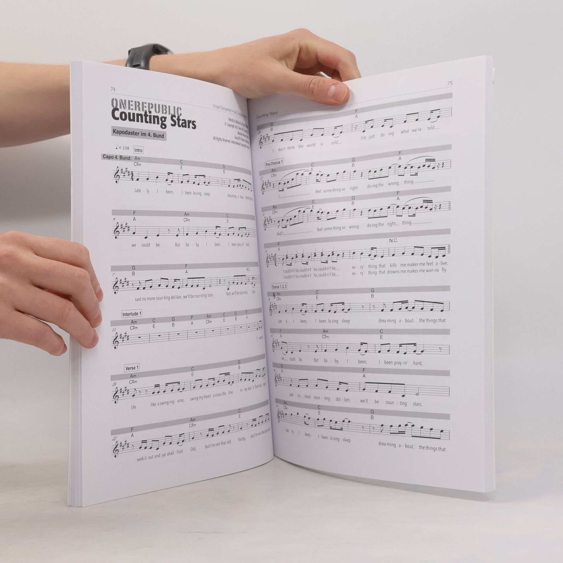 Manuel Grütter Singer/Songwriter - Das Songbook Band 2