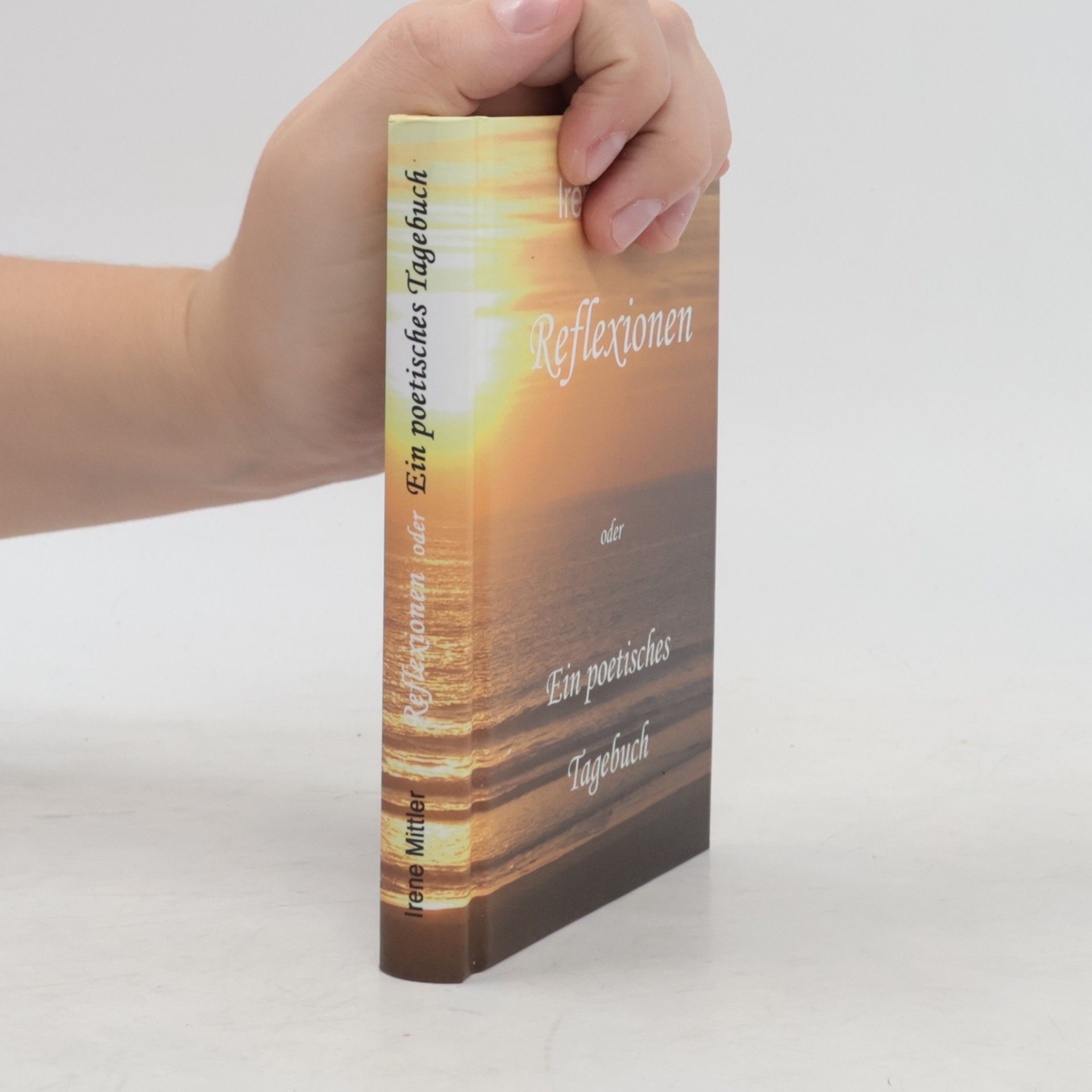 Reflexionen oder ein poetisches Tagebuch