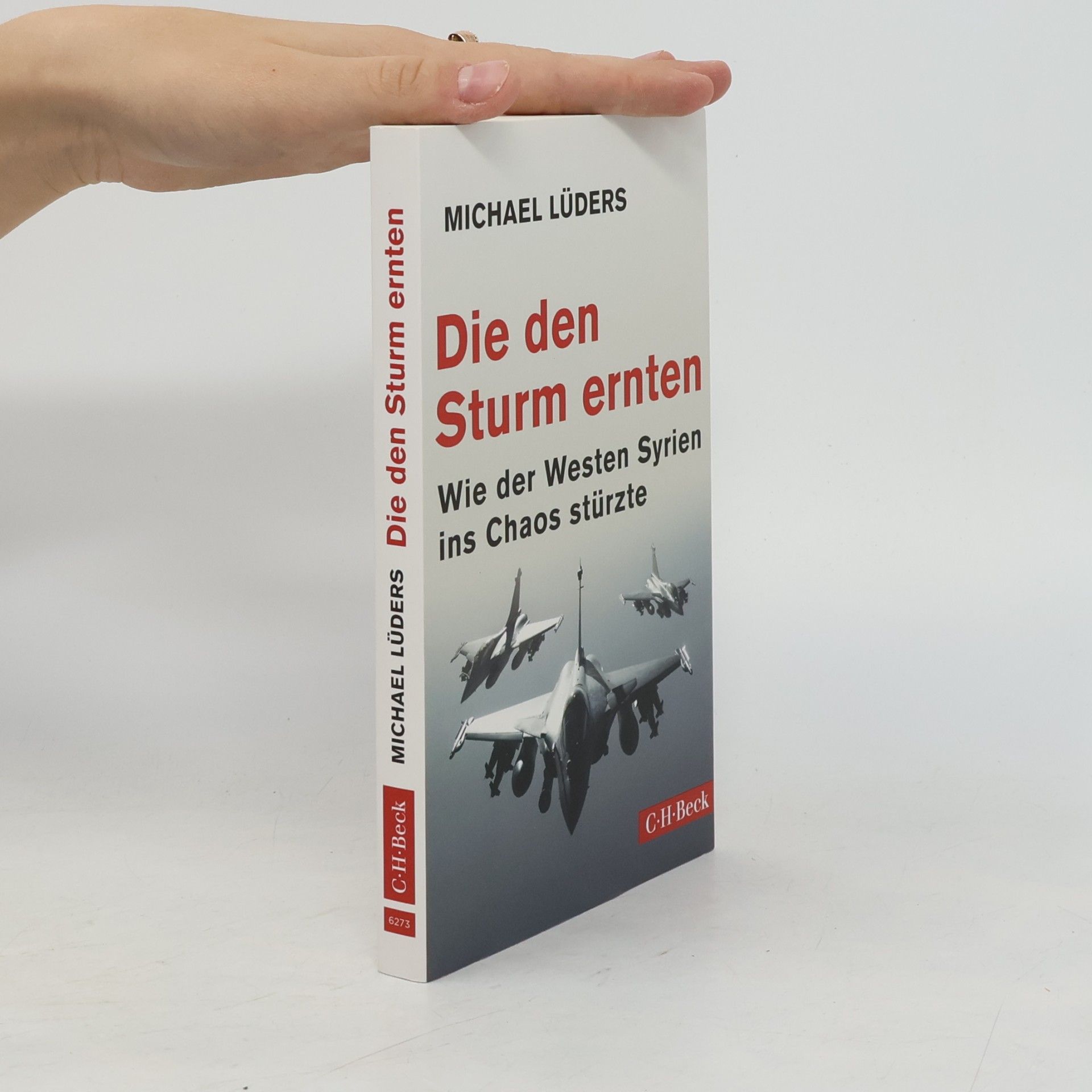 Die den Sturm ernten