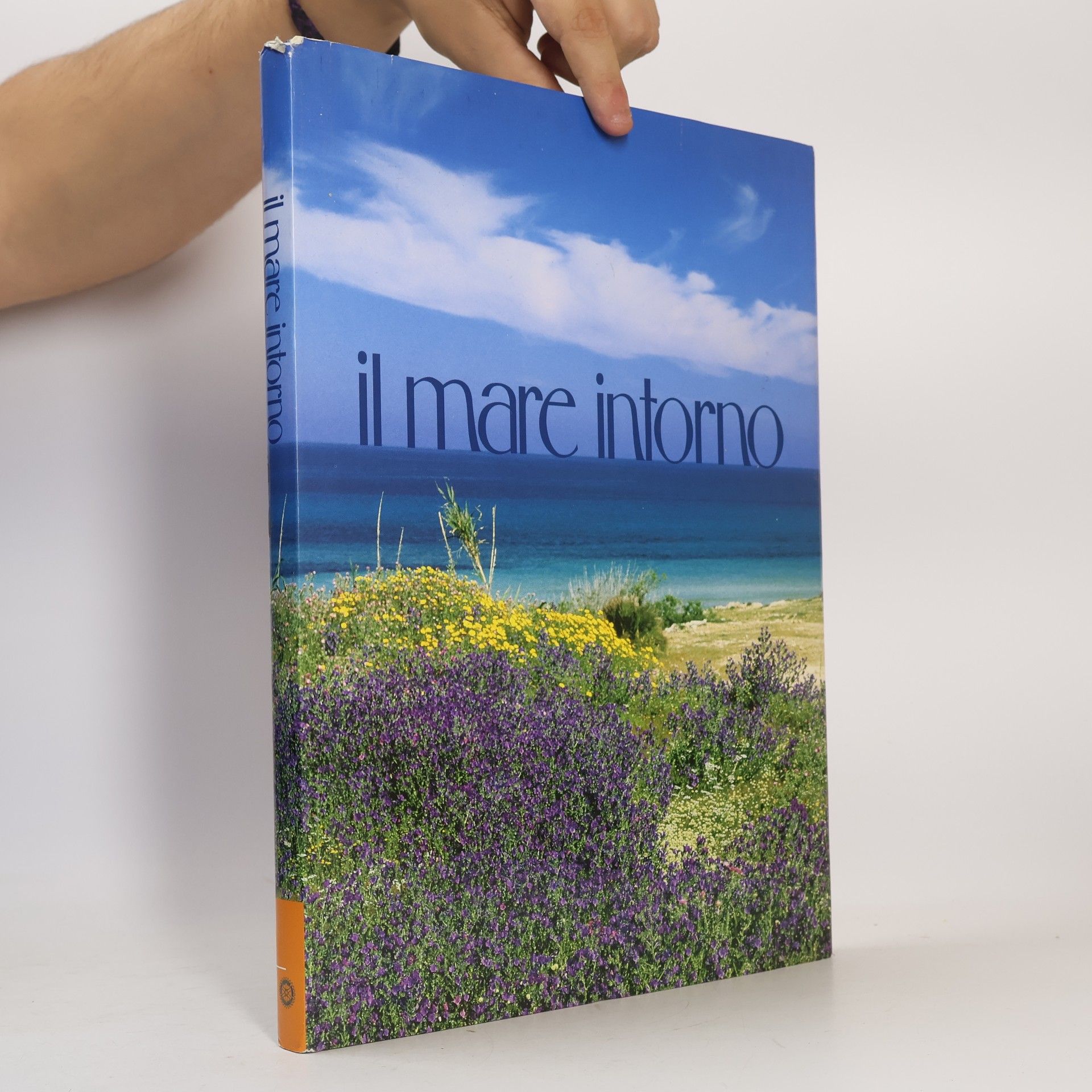 Kolektív autorov il mare intorno
