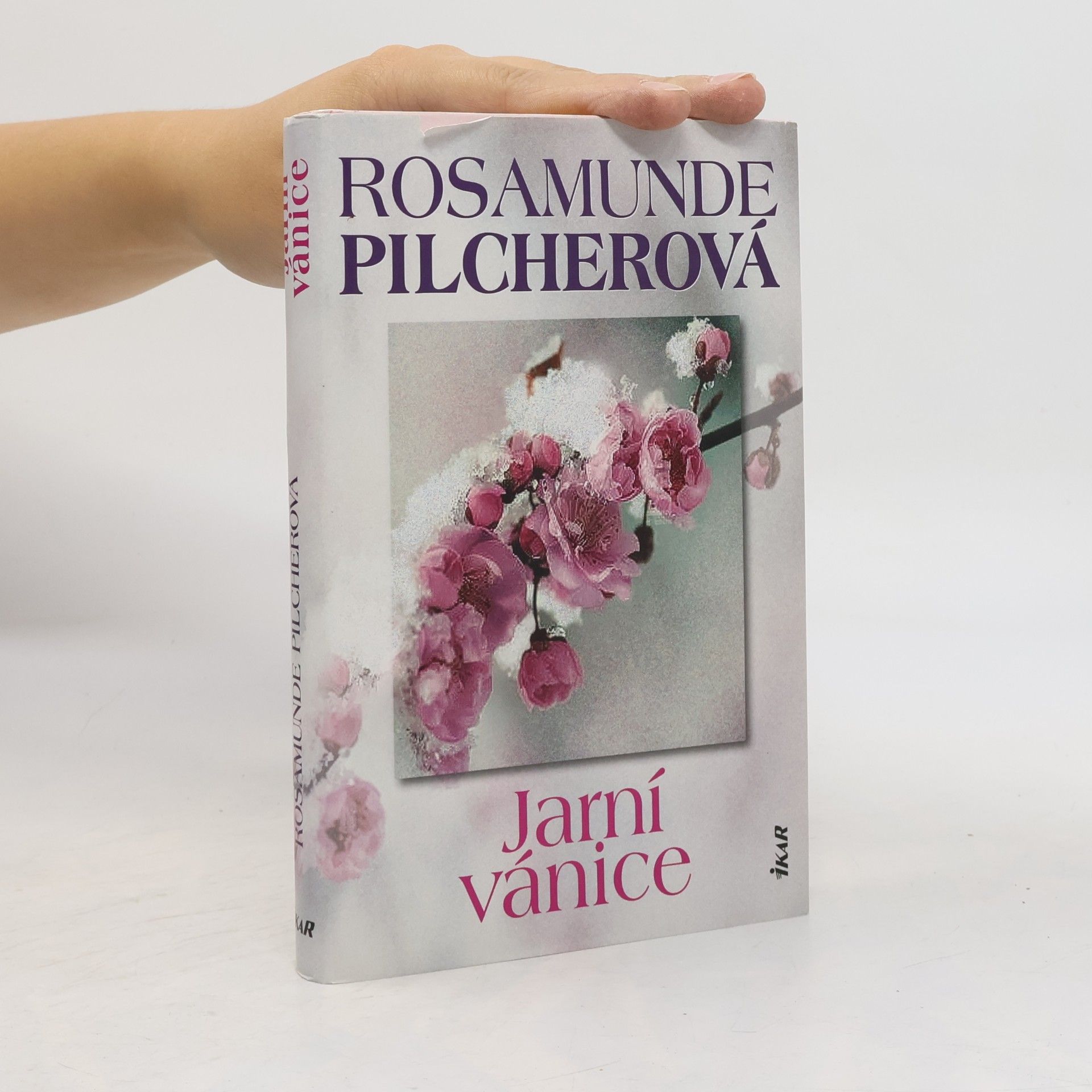 Rosamunde Pilcher Jarní vánice