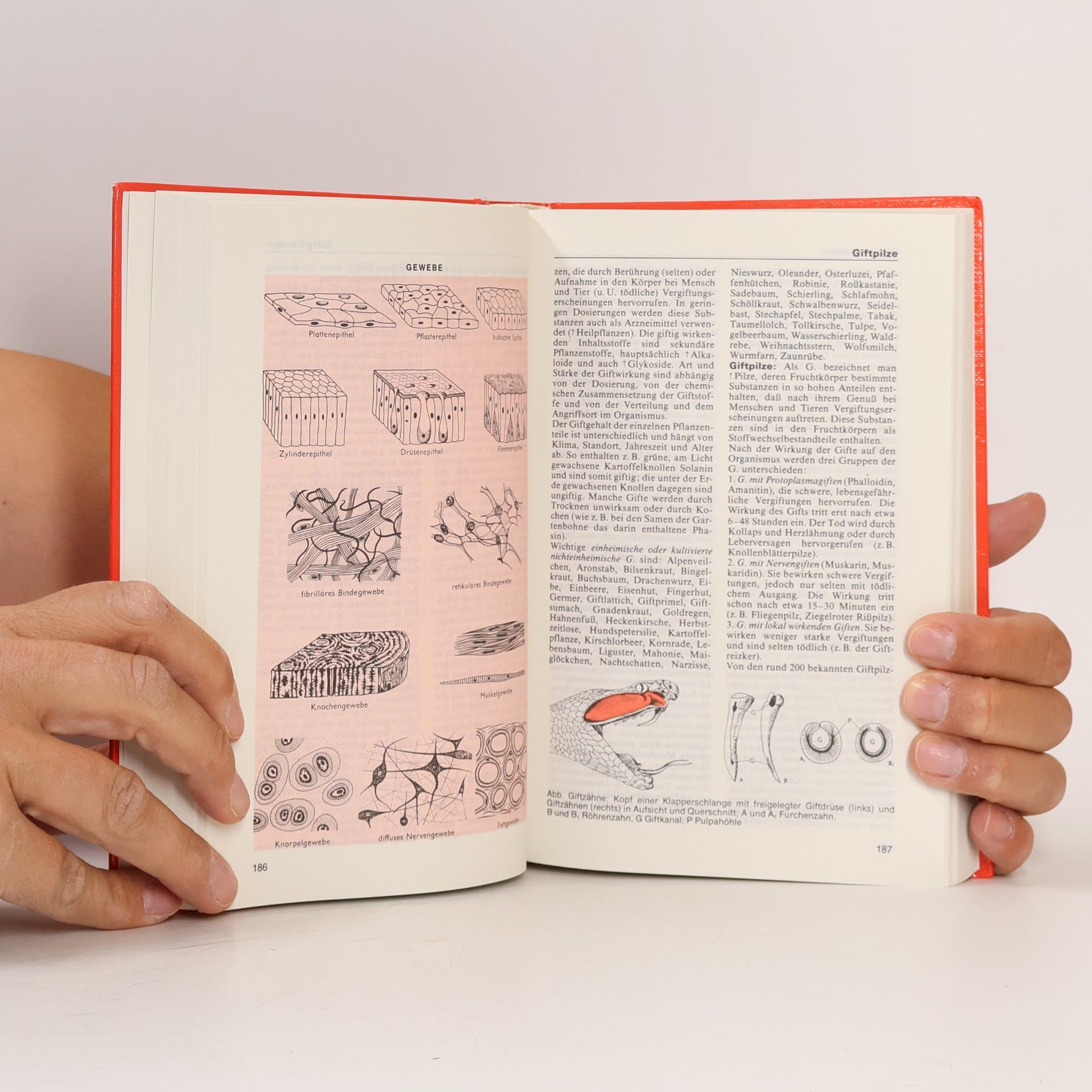 Karl-Heinz Ahlheim Schülerduden die Biologie