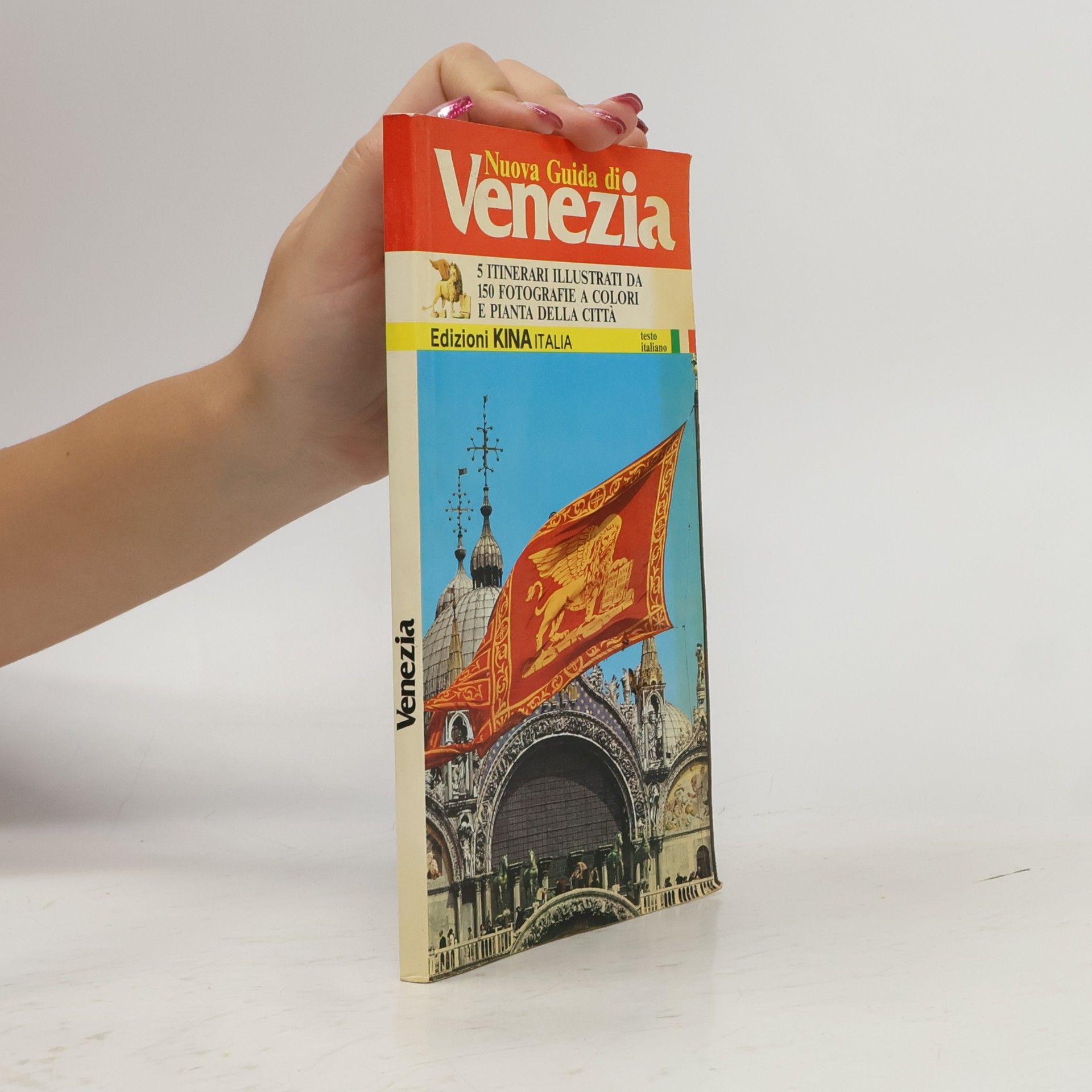 Vittorio Serra Nuova Guida Pratica di Venezia