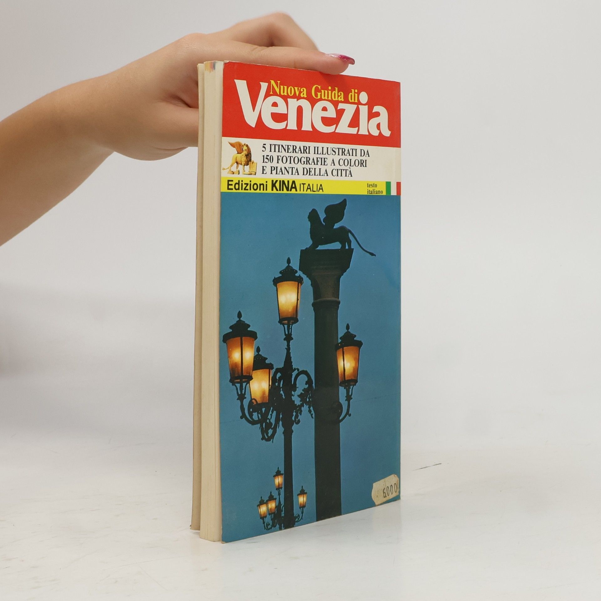 Vittorio Serra Nuova Guida Pratica di Venezia