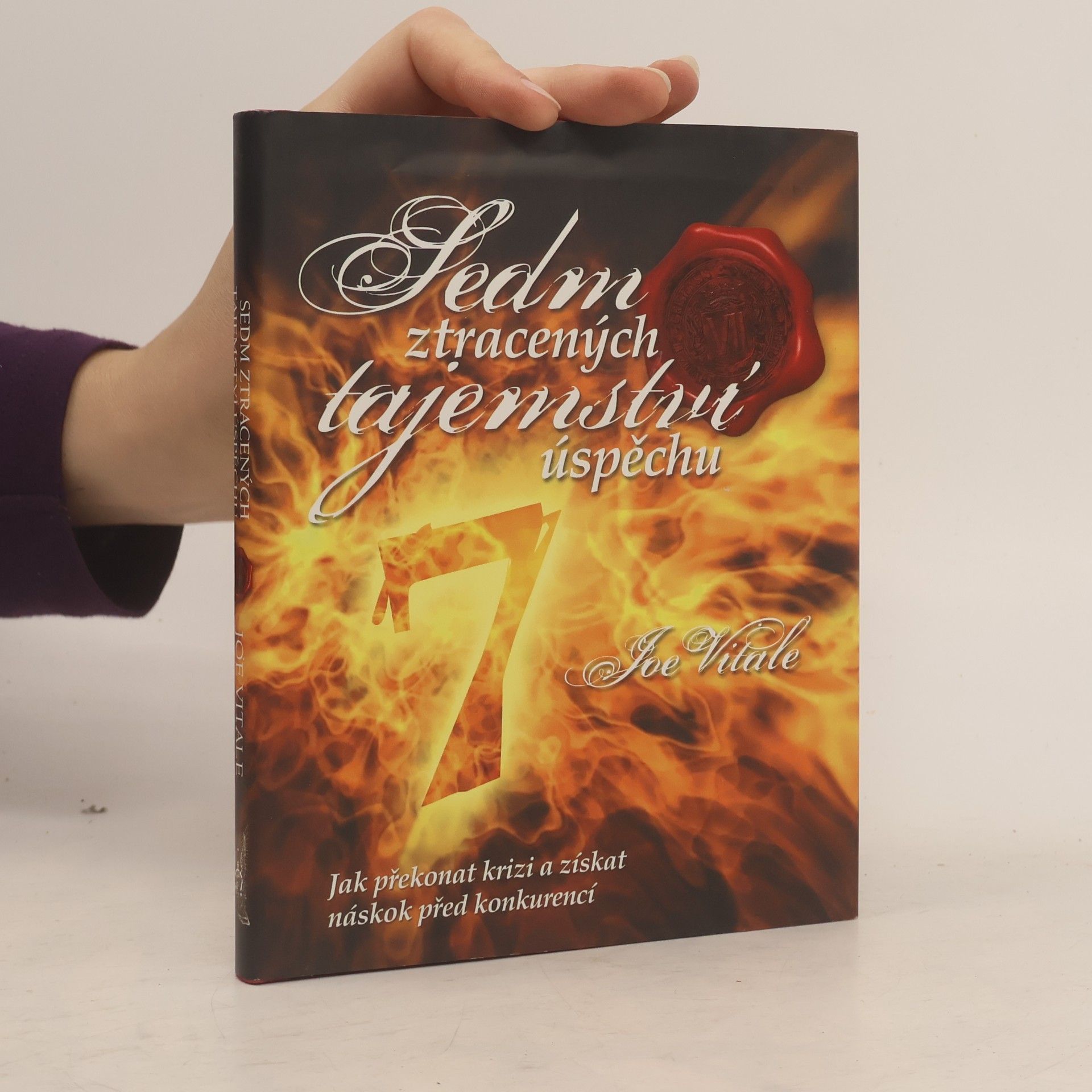 Jana Pacnerová Sedm ztracených tajemství úspěchu. Jak překonat krizi a získat náskok před konkurencí