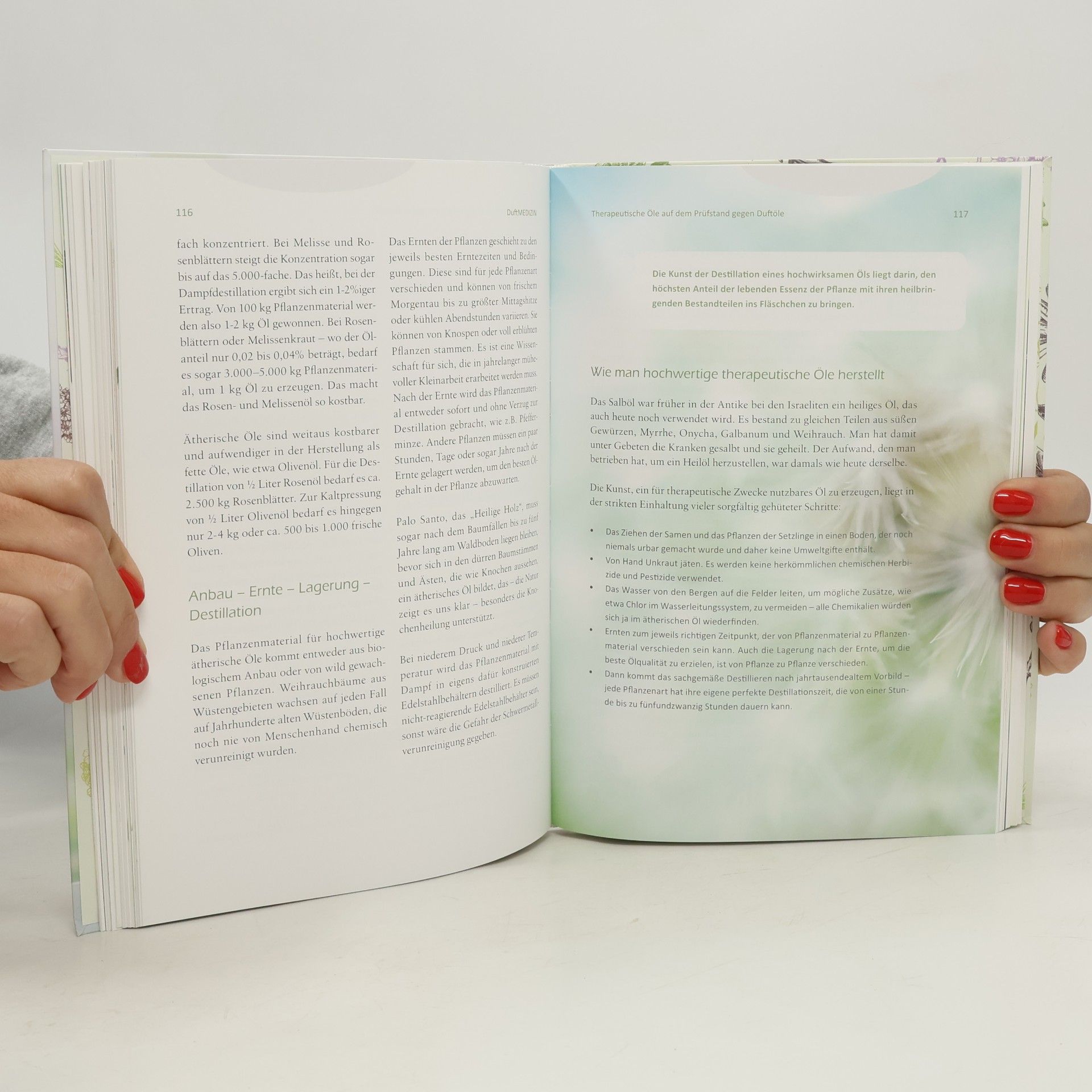 Maria L. Schasteen Duft-Medizin: Ätherische Öle und ihre therapeutische Anwendung