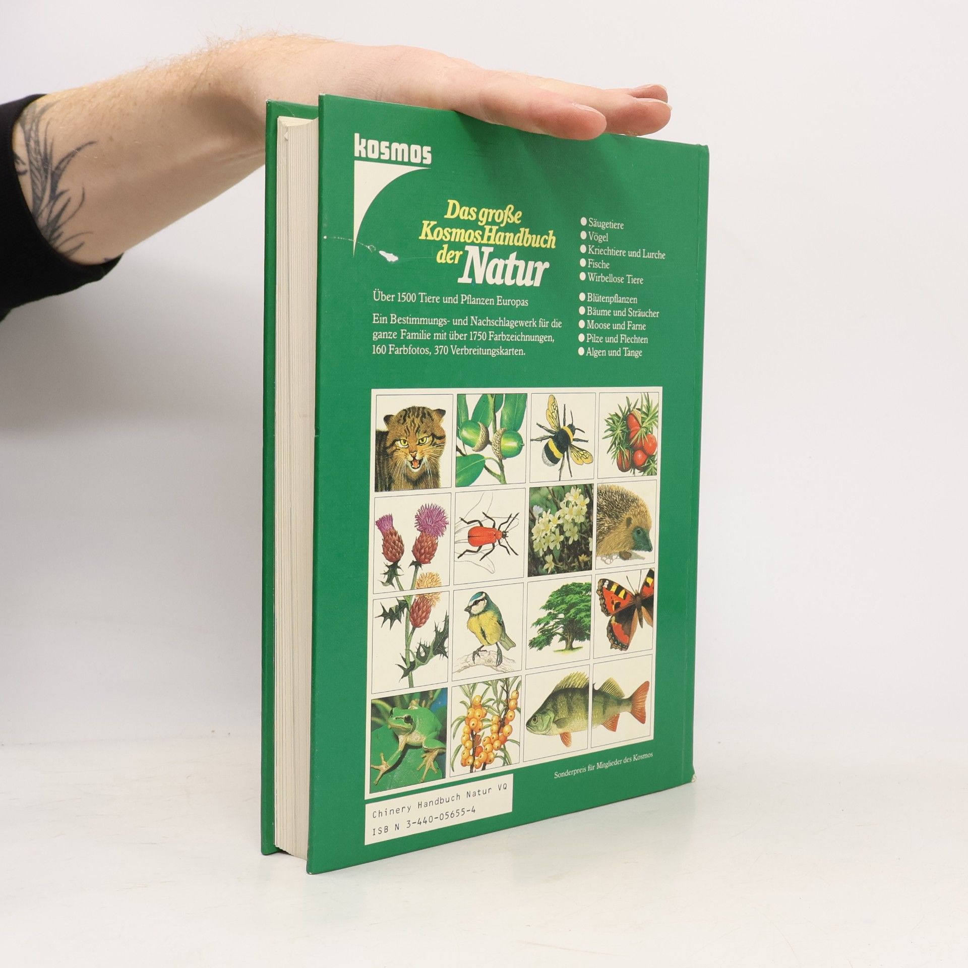 Michael Chinery Das große Kosmos-Handbuch der Natur