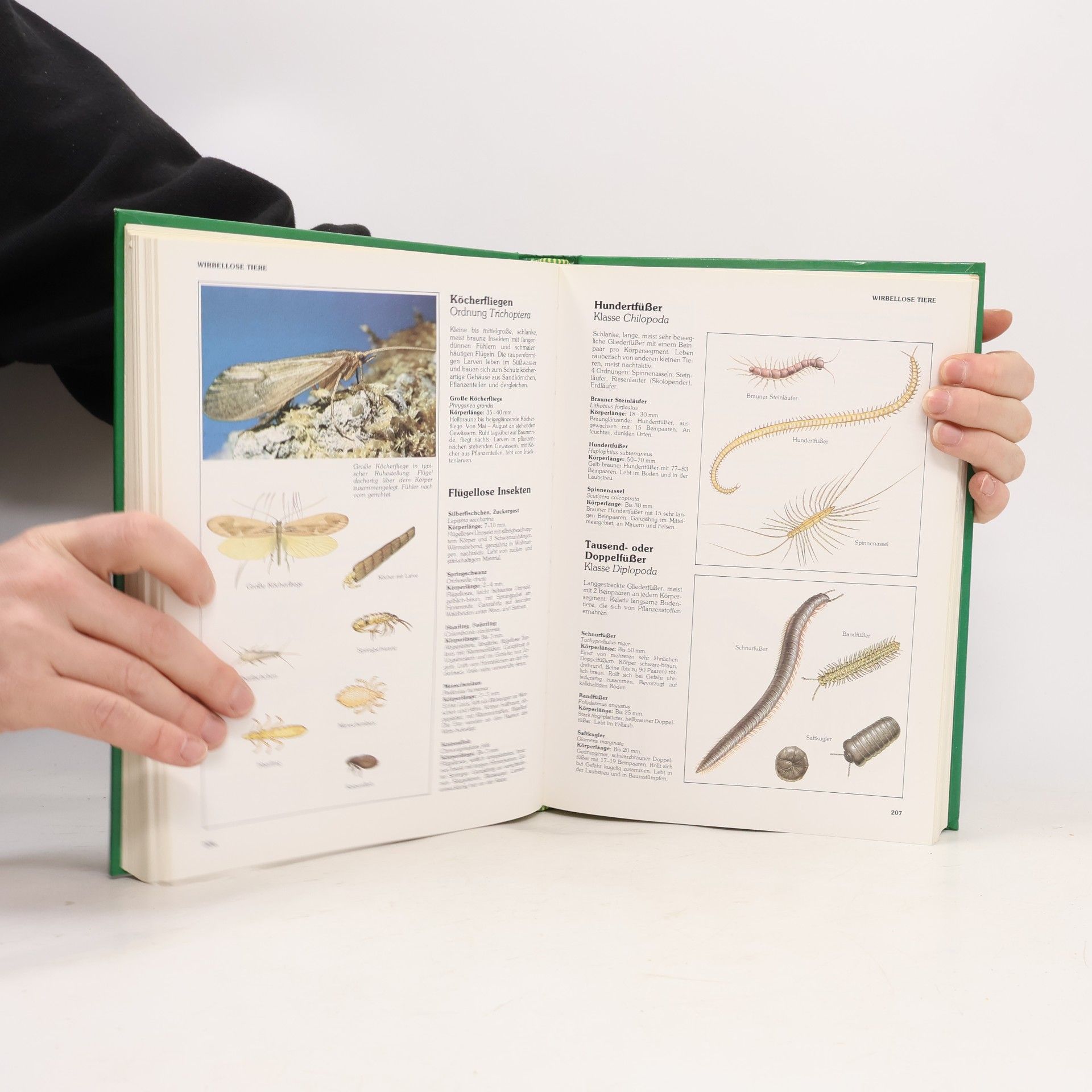 Michael Chinery Das große Kosmos-Handbuch der Natur