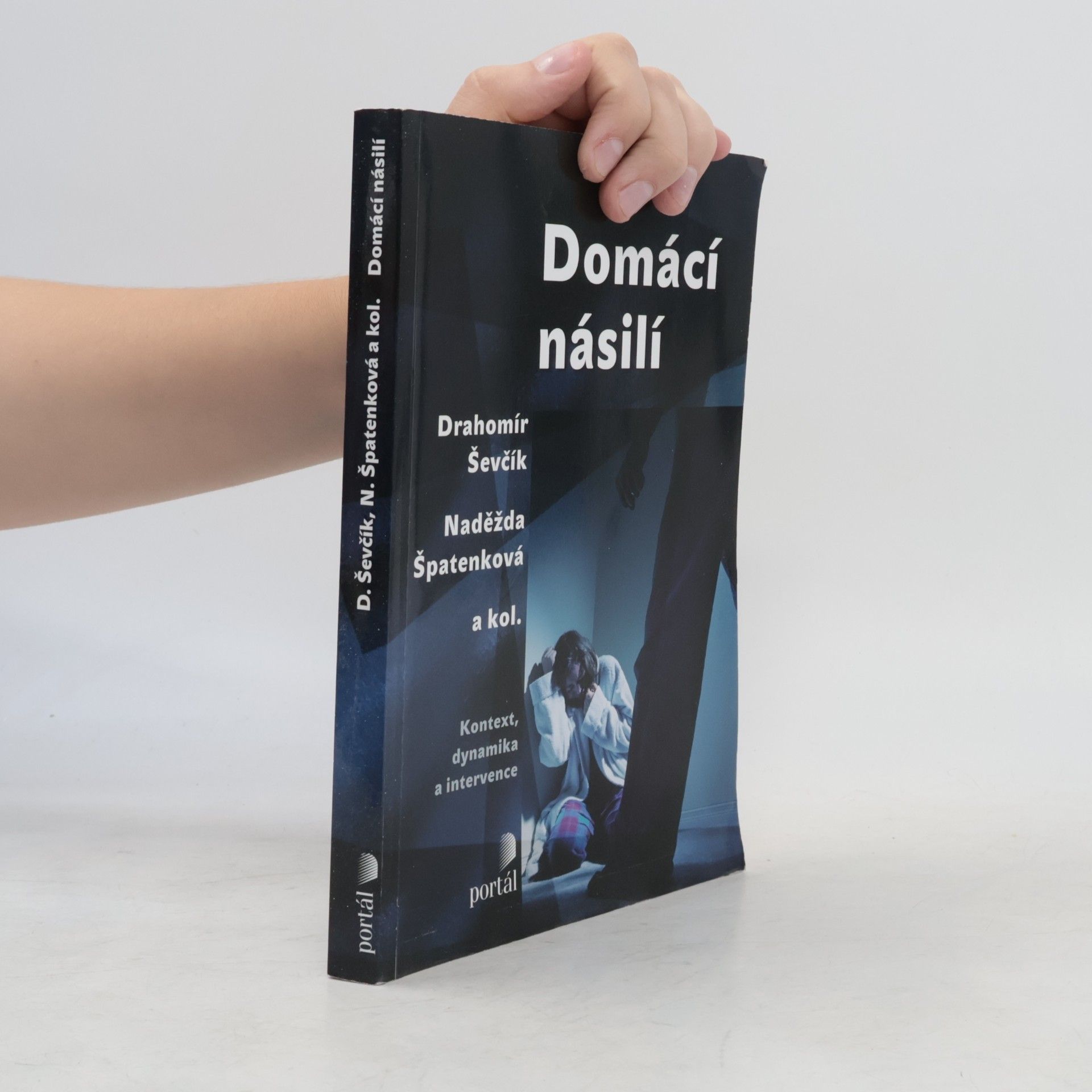 Drahomír Ševčík Domácí násilí : kontext, dynamika a intervence