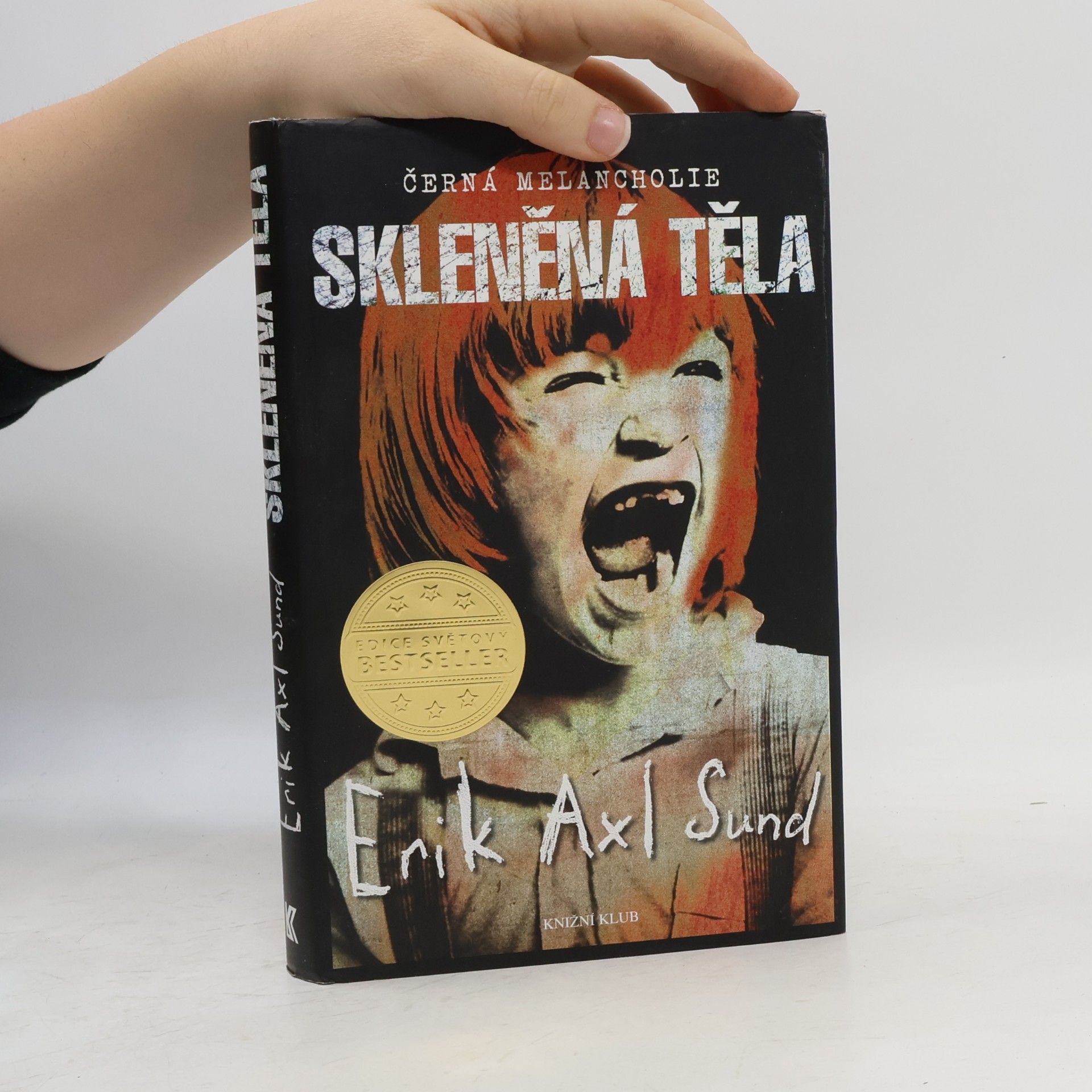 Erik Axl Sund Skleněná těla. Černá melancholie