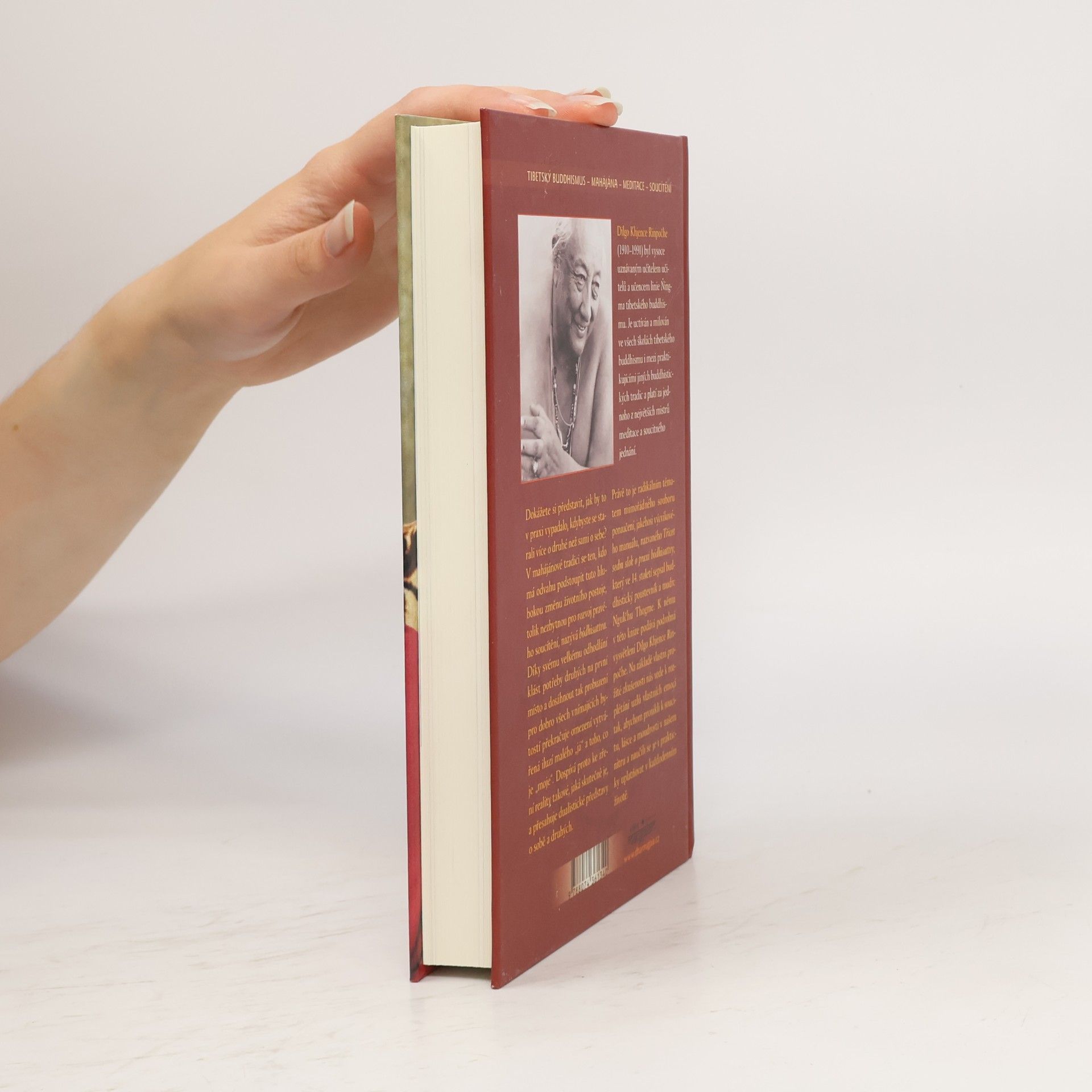 Various authors Soucitné srdce. ponaučení o esenci soucítění. komentář Třiceti sedmi slok o praxi bódhisattvy od Gjalsä Ngulčhu Thogmeho