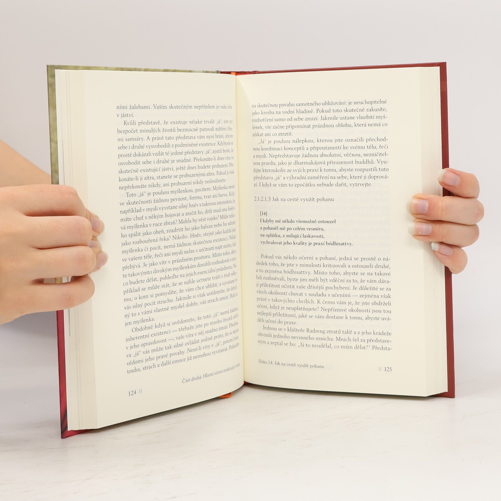 Various authors Soucitné srdce. ponaučení o esenci soucítění. komentář Třiceti sedmi slok o praxi bódhisattvy od Gjalsä Ngulčhu Thogmeho