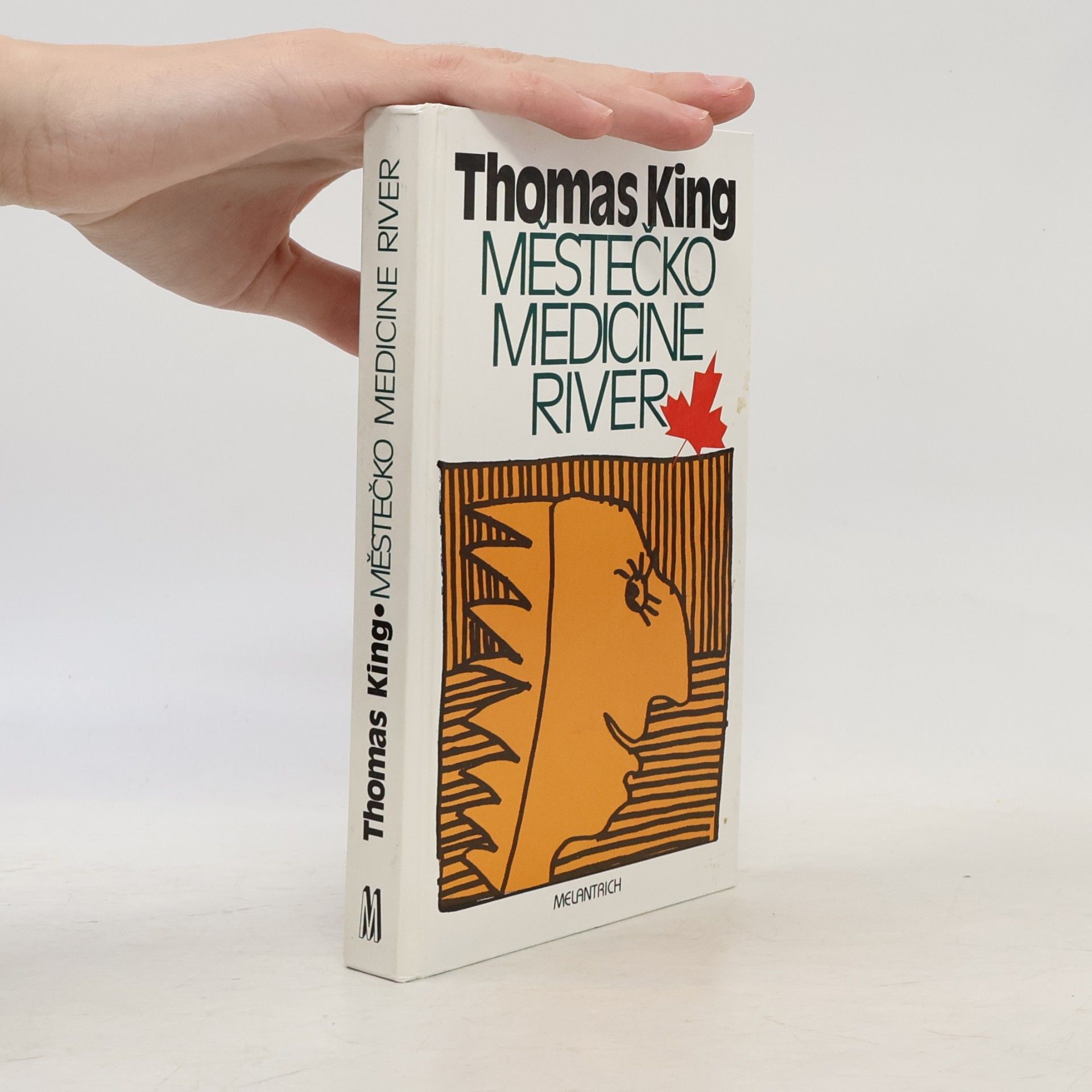 Thomas King Městečko Medicine River