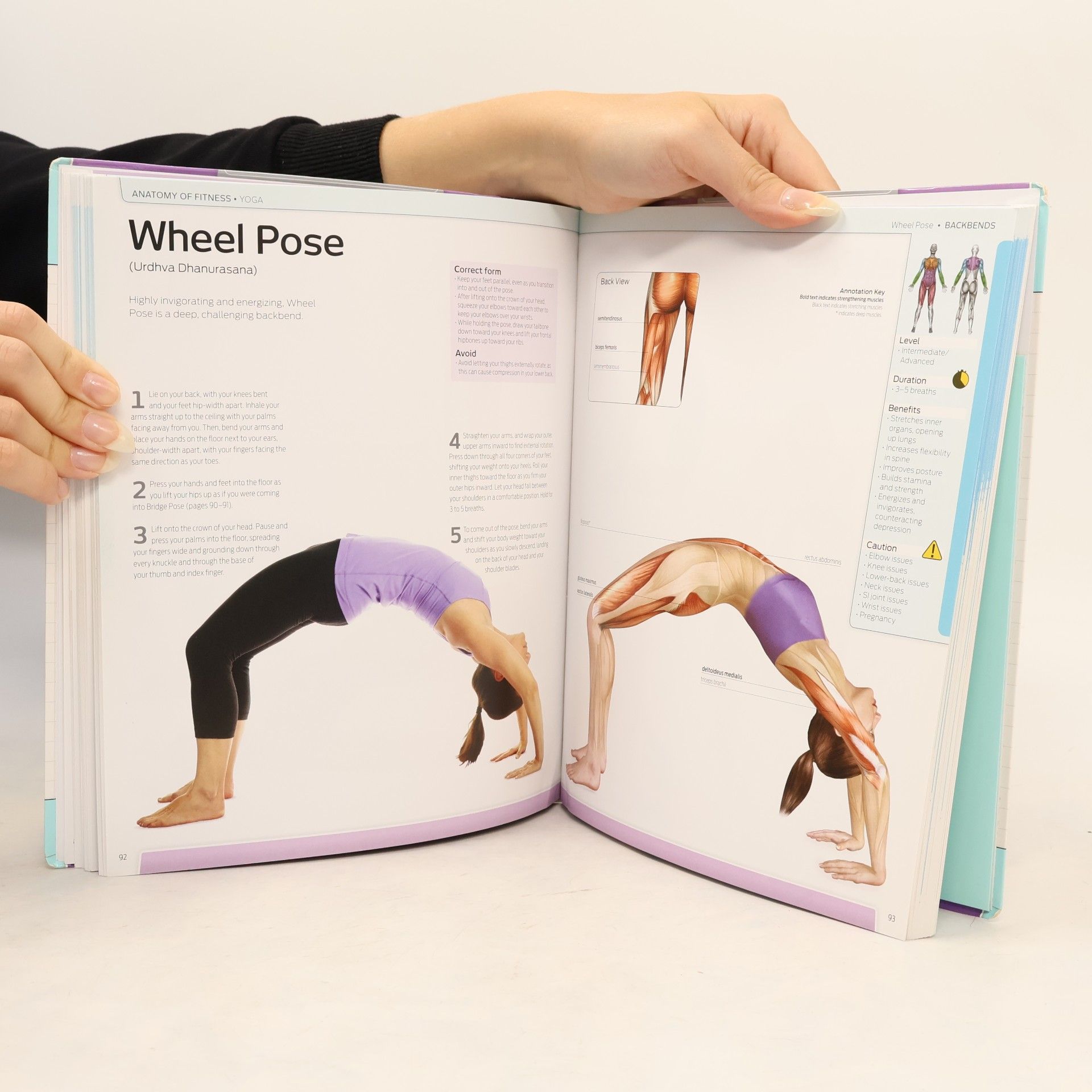 Goldie Karpel Oren Anatomy of Fitness