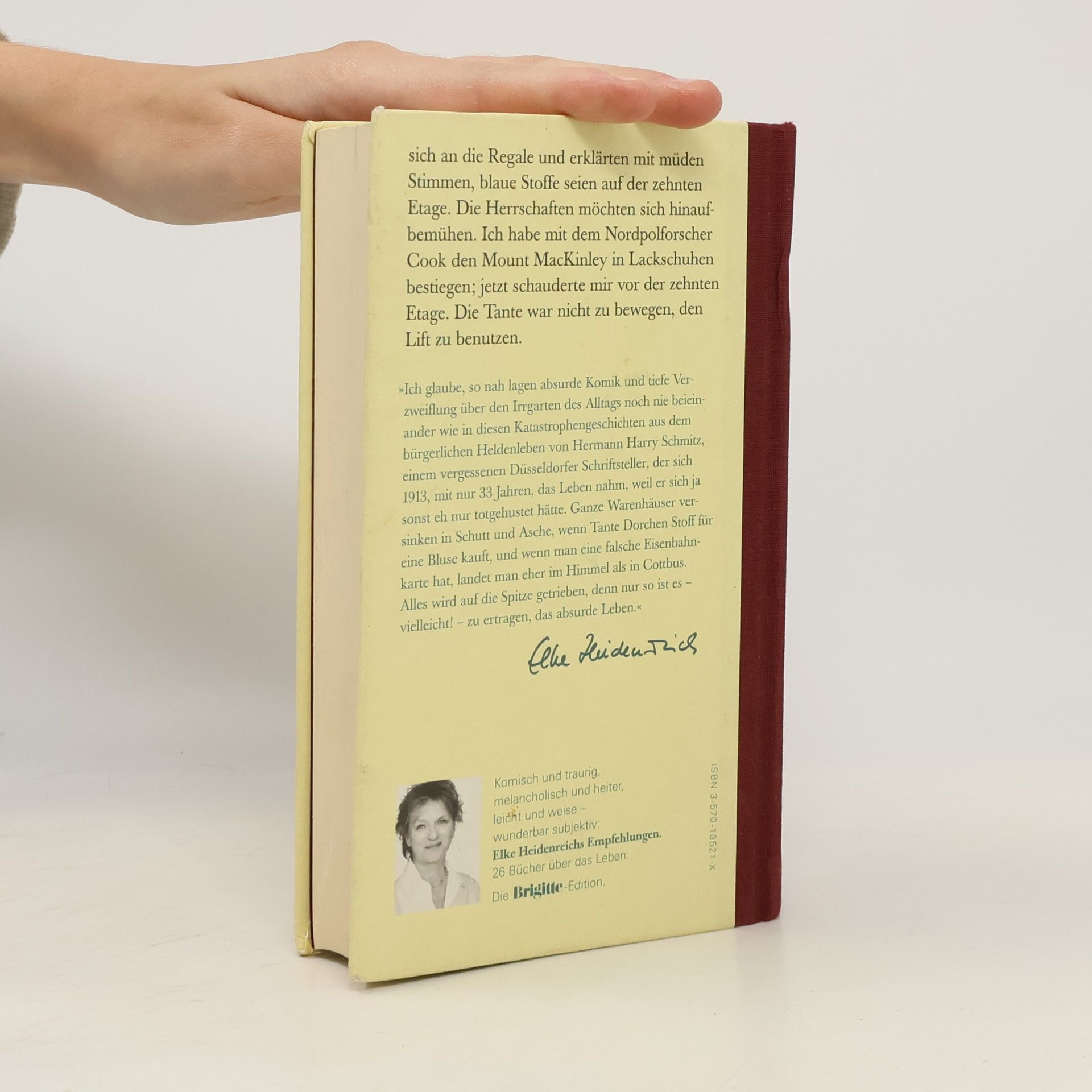Hermann Harry Schmitz Das Buch der Katastrophen