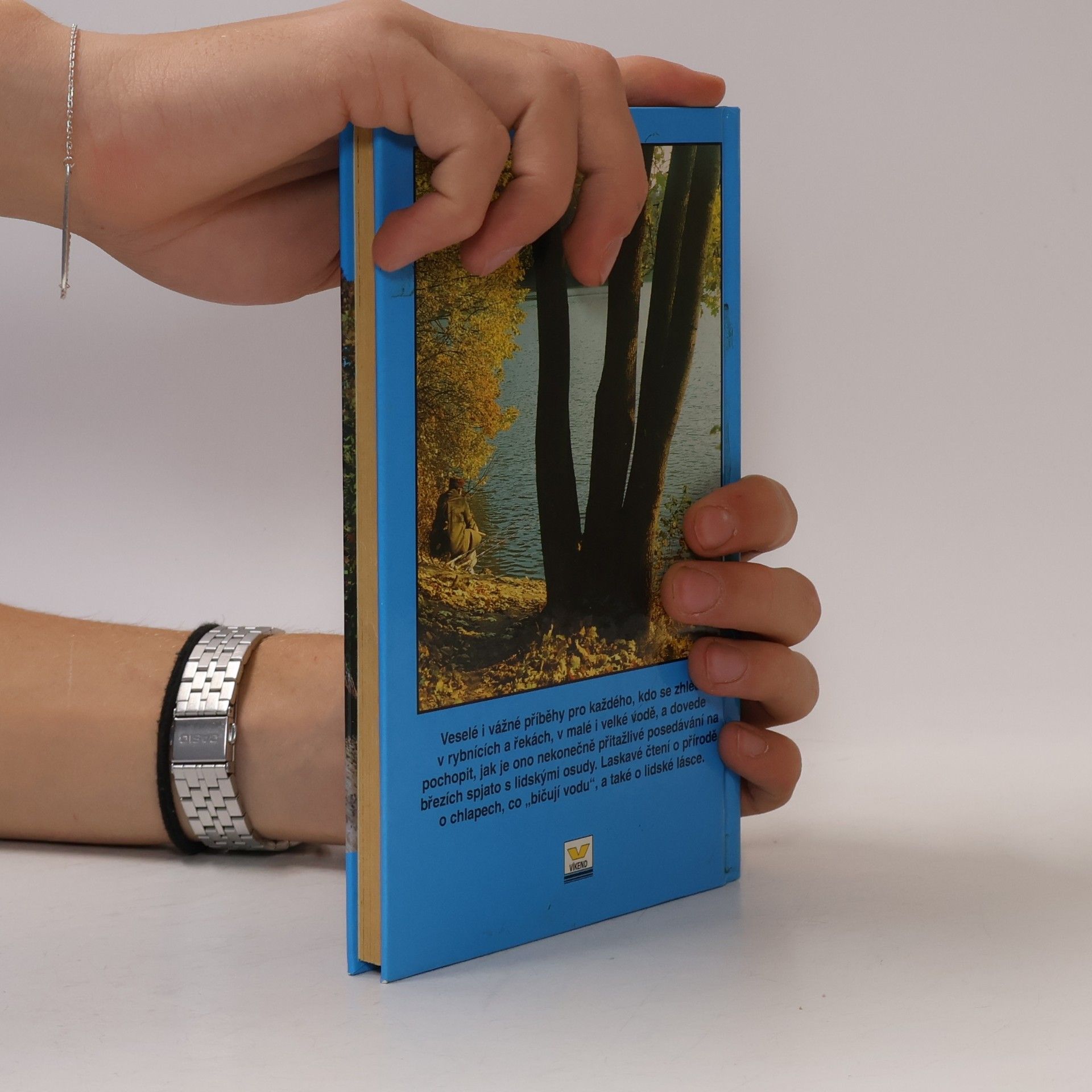 Bohumil Lipert Sumec pana řídícího