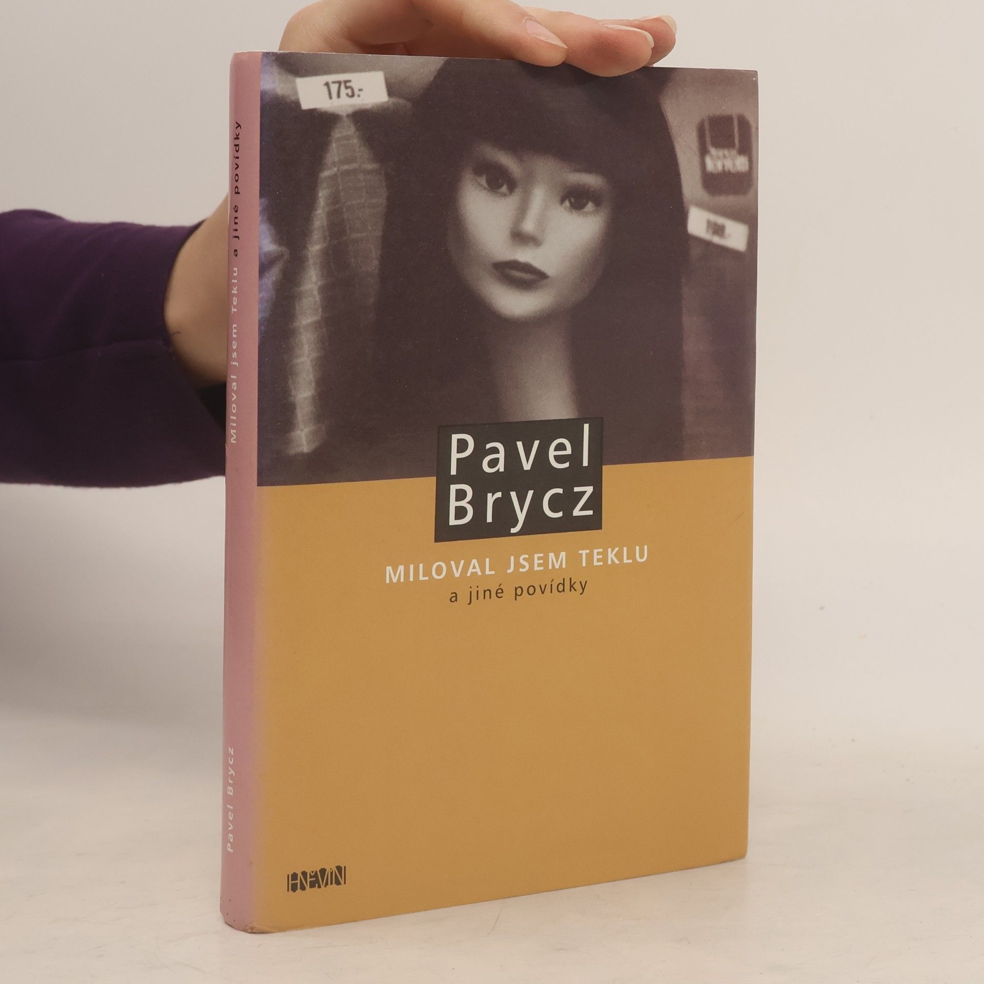 Miloval jsem Teklu a jiné povídky