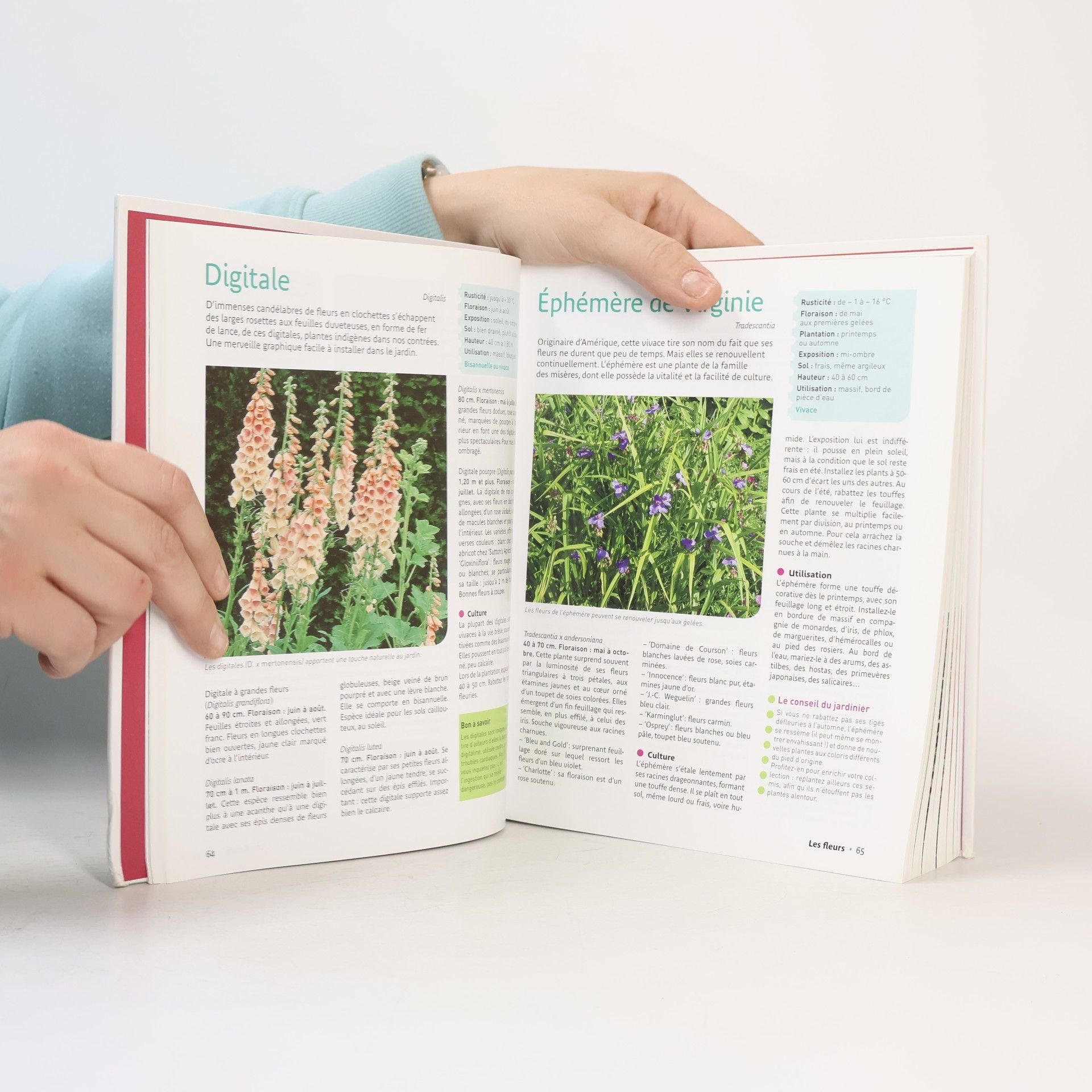Le traité Rustica du jardin: Fleurs, fruits et légumes - Les conseils pour les choisir et les réussir - Des idées d'associations - Nouvelle édition revue et enrichie