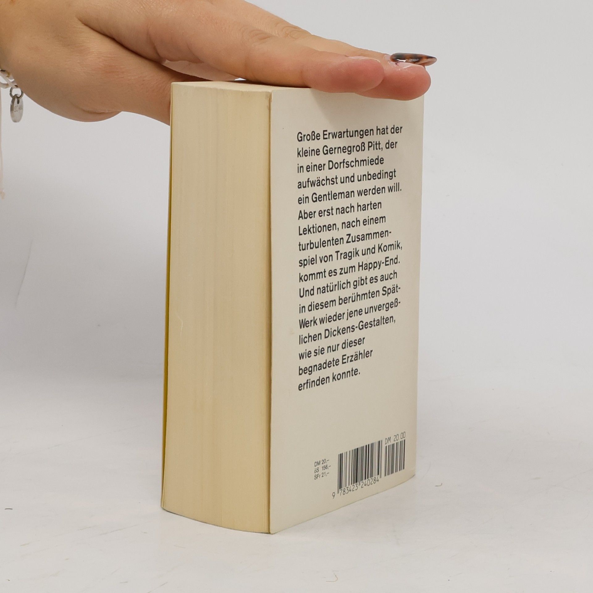 Charles Dickens Grosse Erwartungen