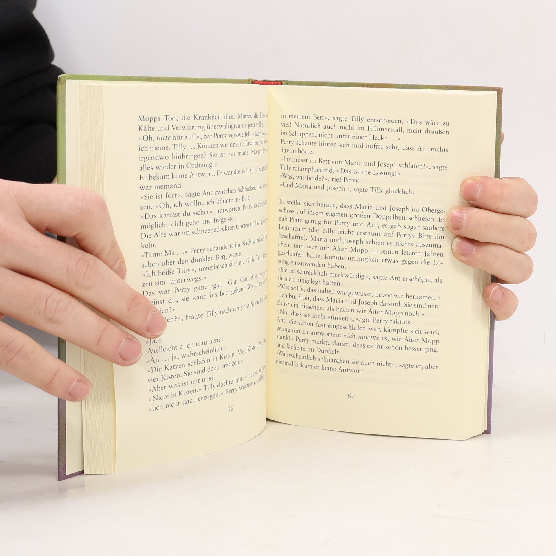 Hilary McKay Alles Zufall, oder was?. Neues aus Porridge Hall. Deutsch v. Irmela Bender