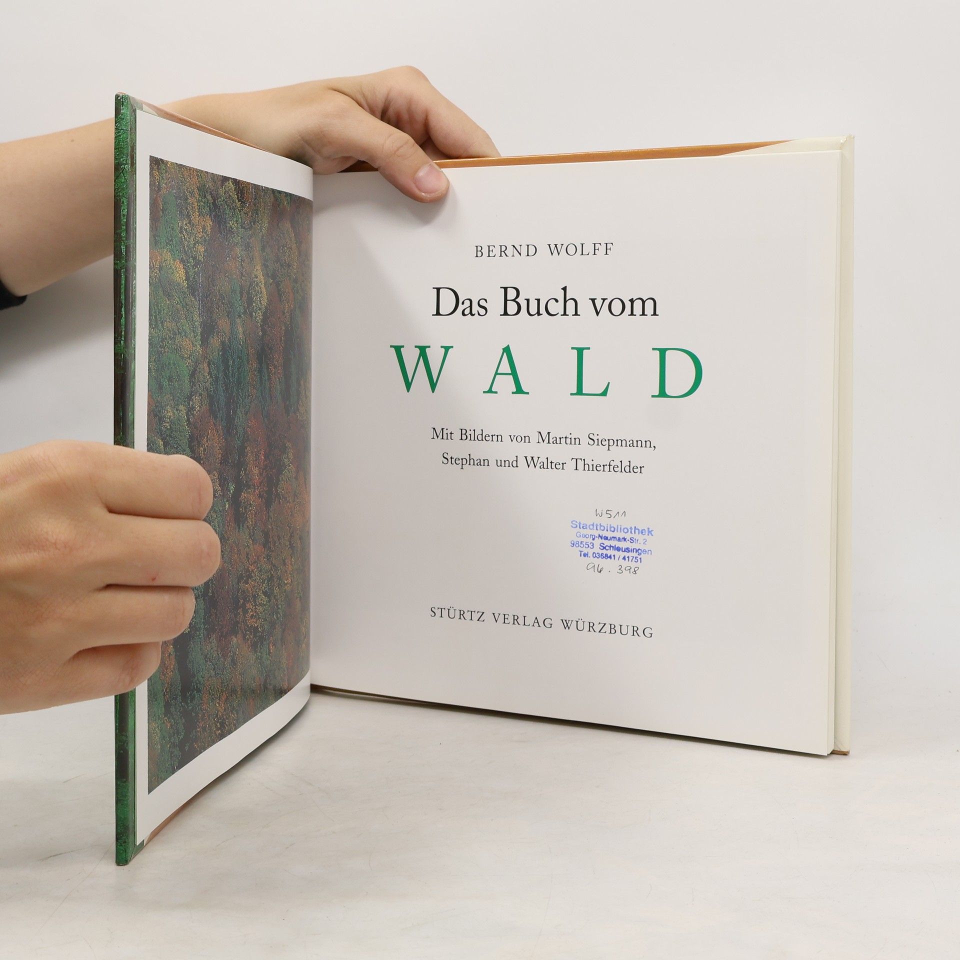 Bernd Wolff Das Buch vom Wald