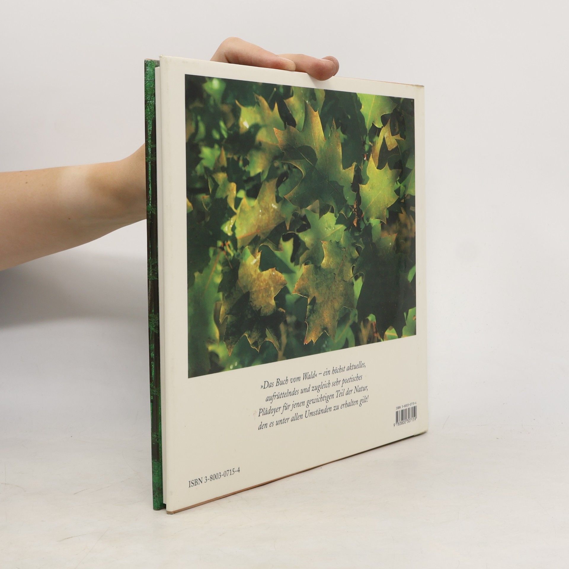 Bernd Wolff Das Buch vom Wald
