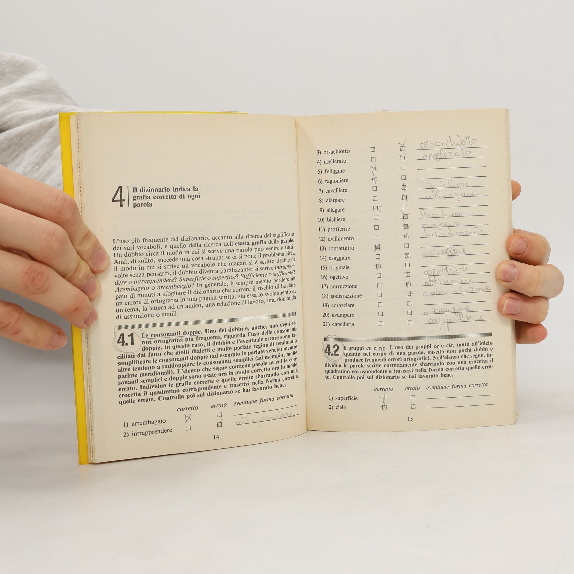 Federico Roncoroni Fare italiano con il dizionario. Quaderno didattico con esercizi guidati. Per le Scuole