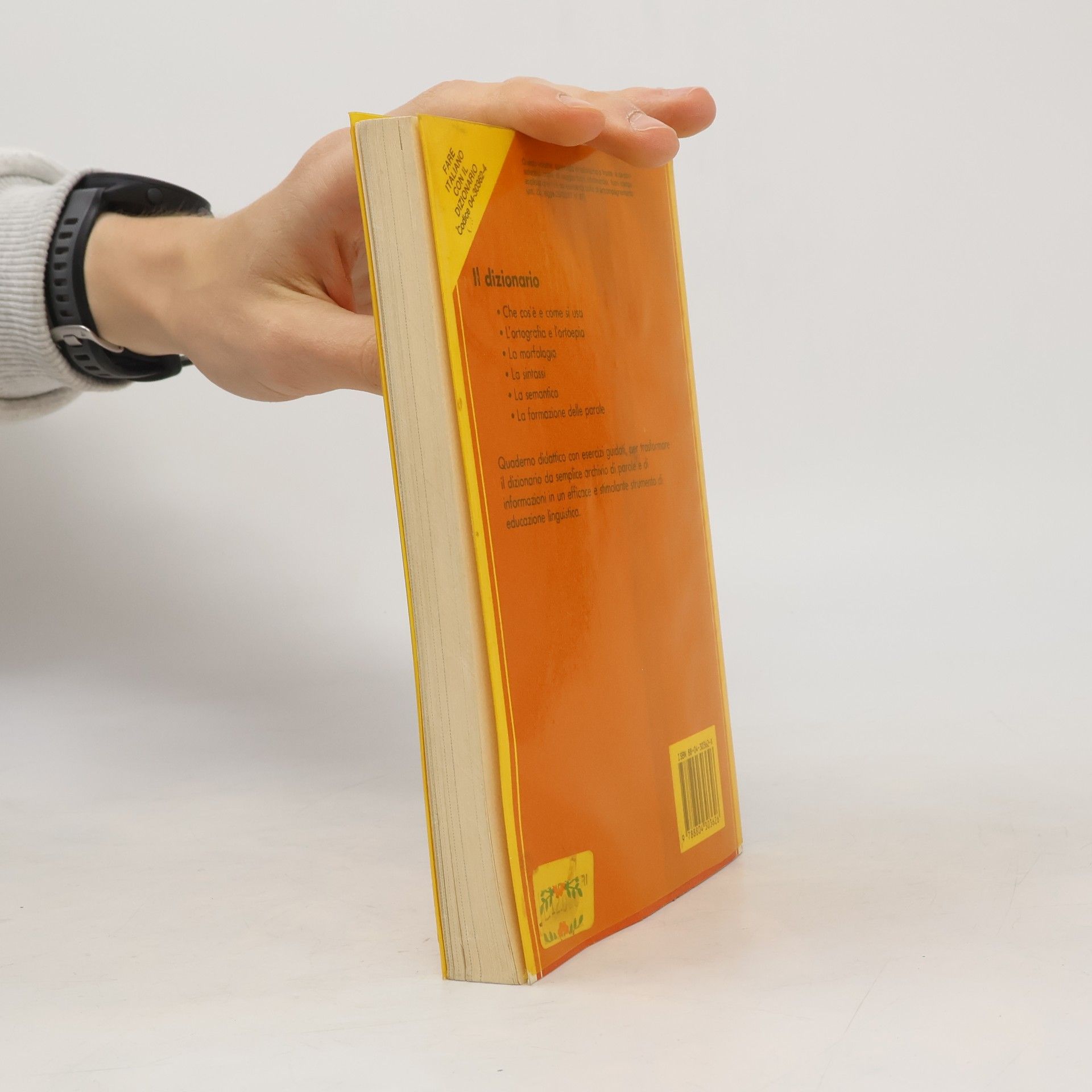Federico Roncoroni Fare italiano con il dizionario. Quaderno didattico con esercizi guidati. Per le Scuole