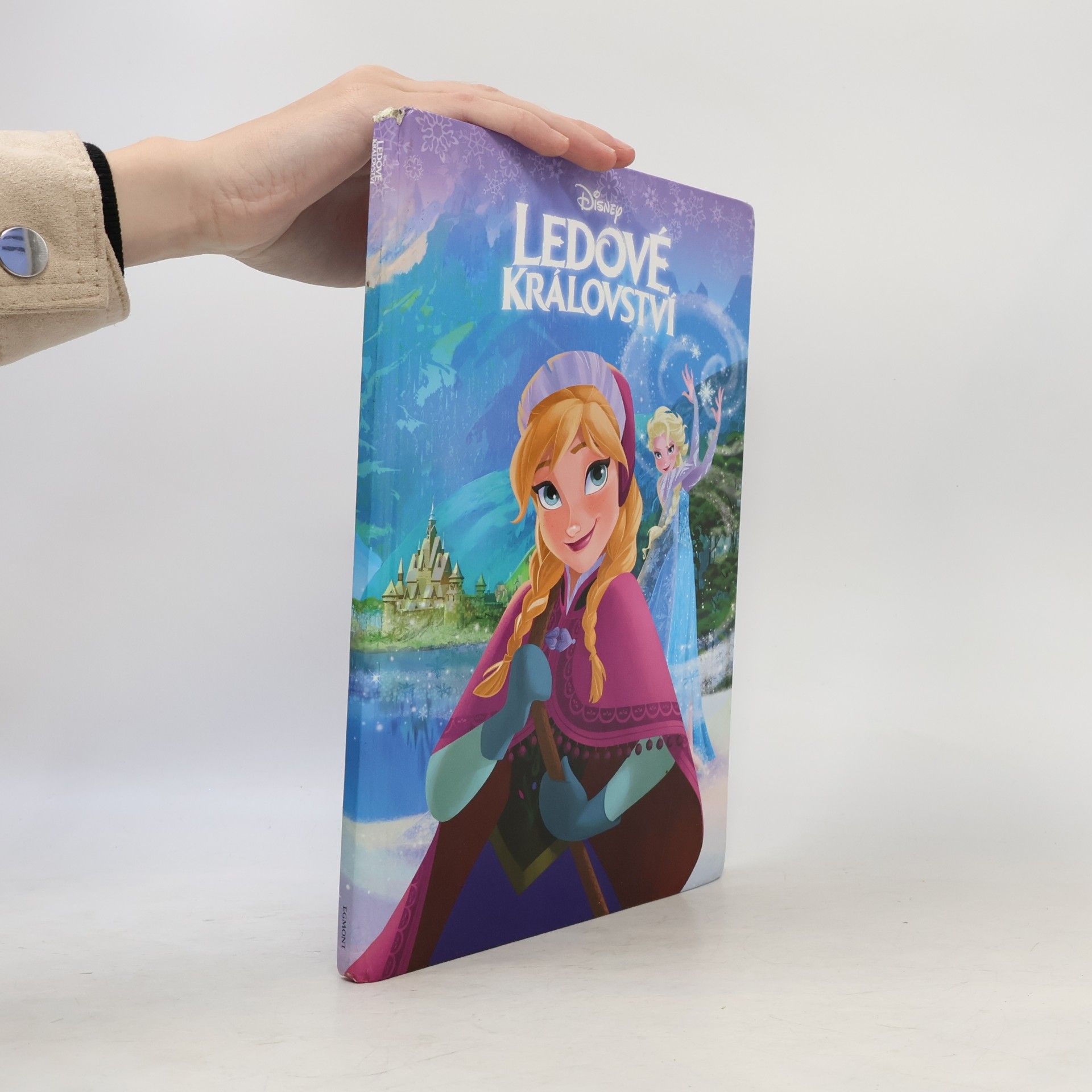 Autorenkollektiv Ledové království