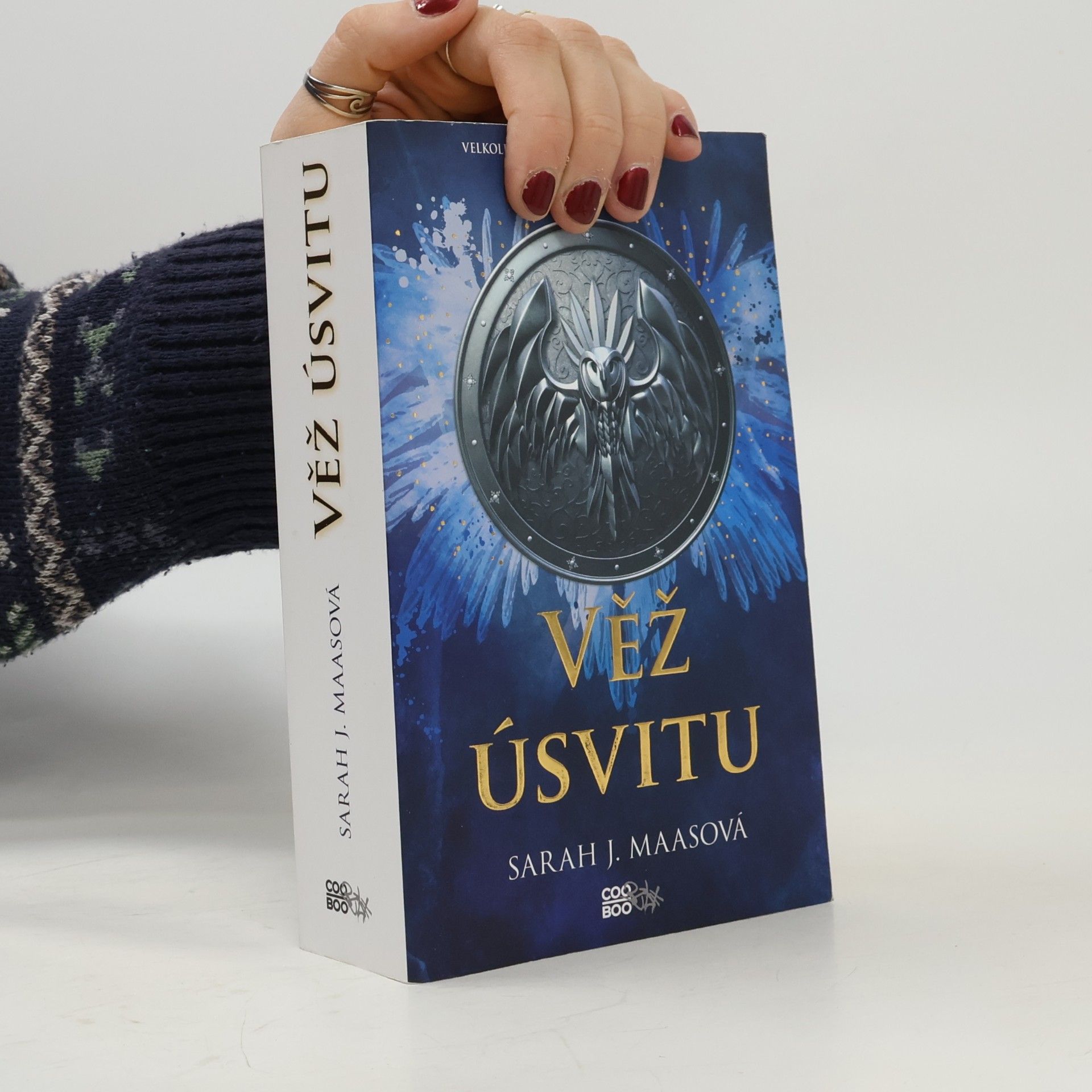 Sarah J. Maas Věž úsvitu