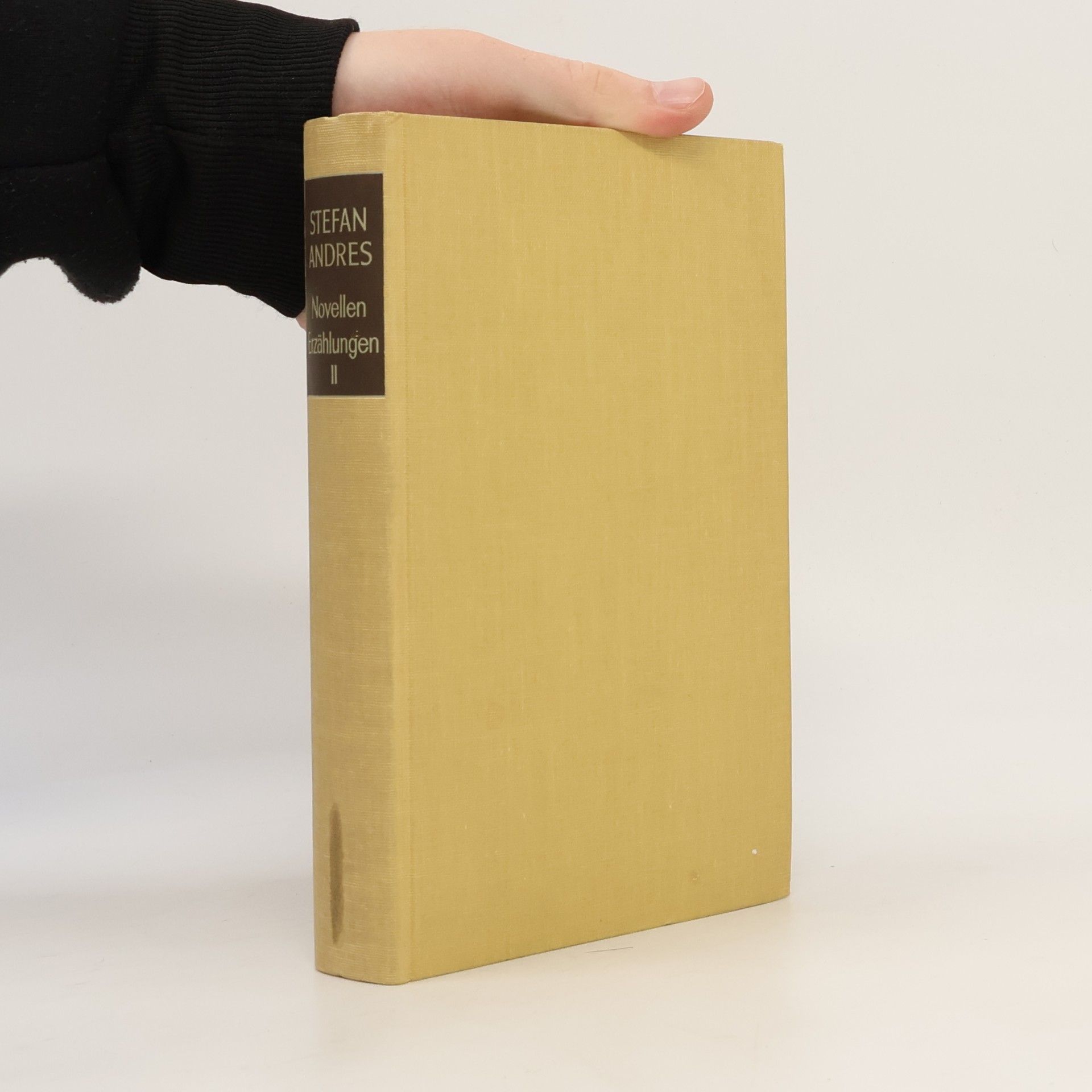 Novellen Erzählungen II