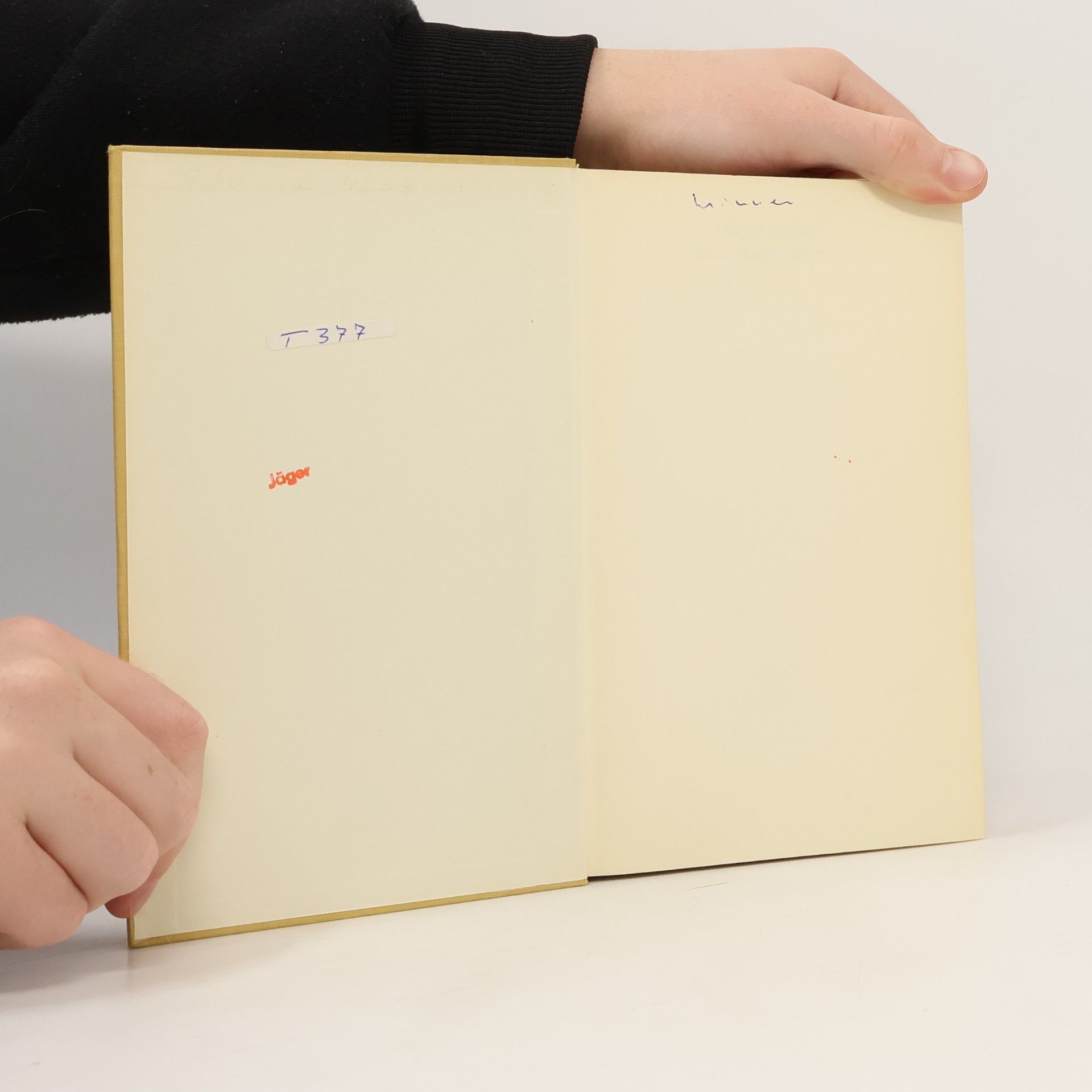 Octavio Kant Novellen Erzählungen II