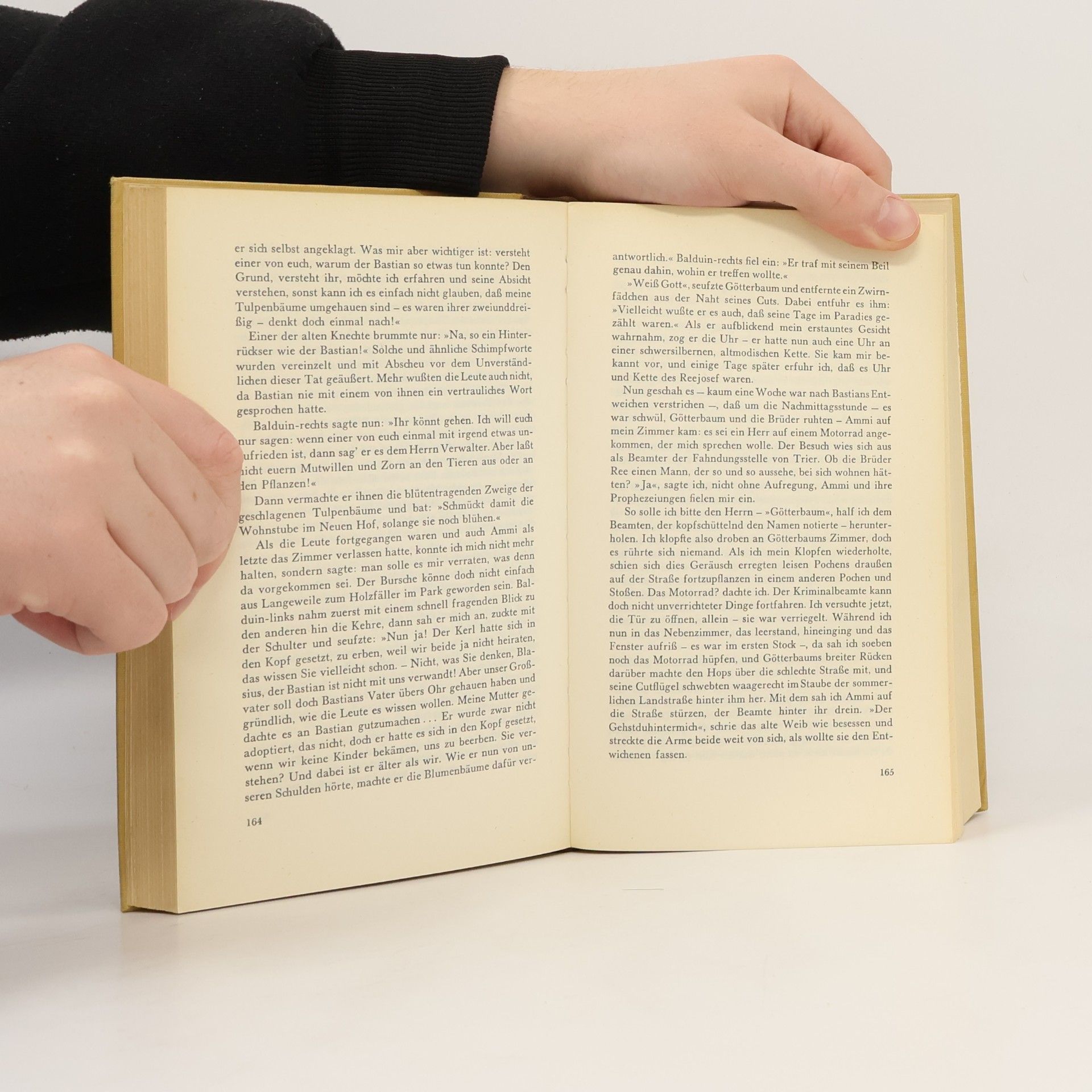 Octavio Kant Novellen Erzählungen II