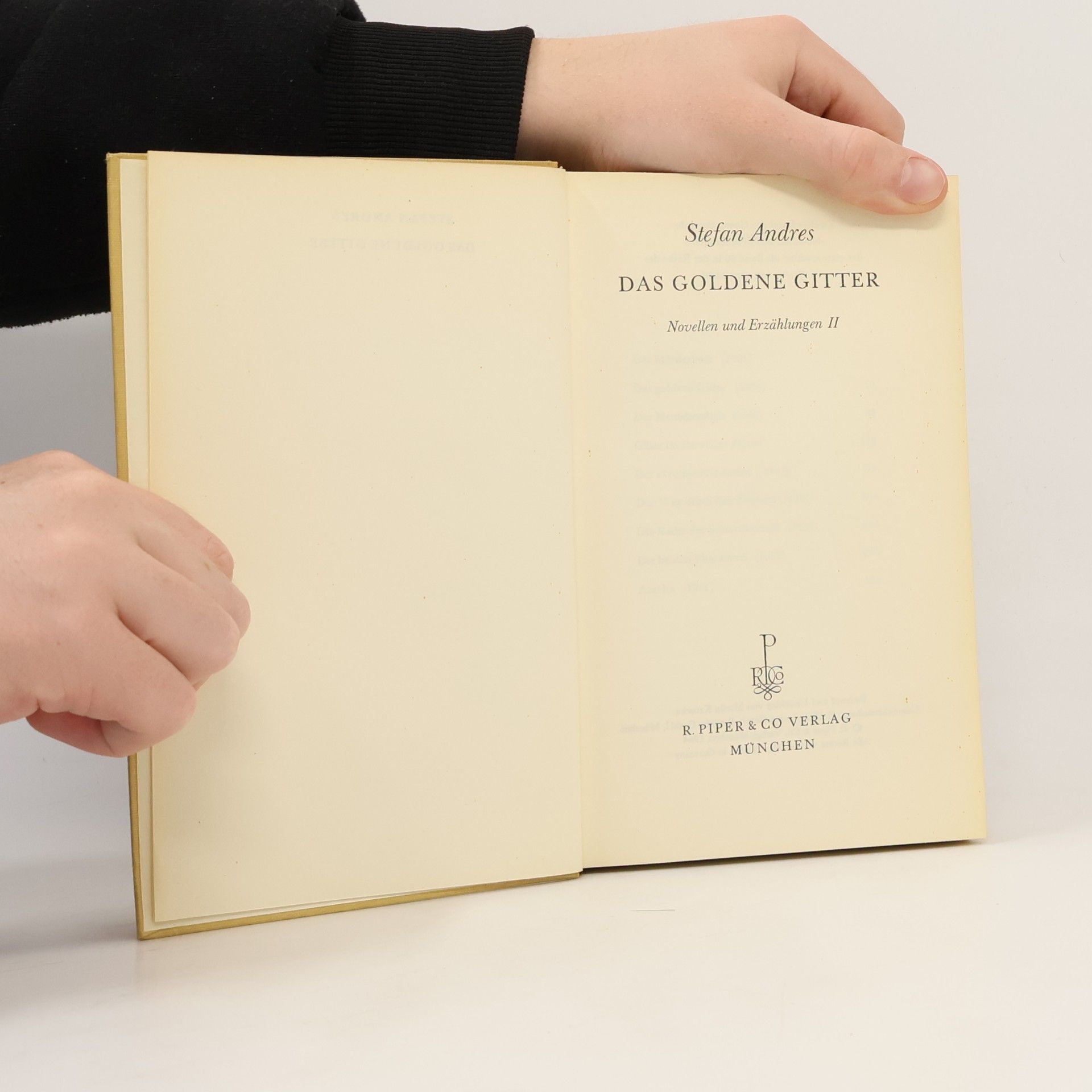 Octavio Kant Novellen Erzählungen II