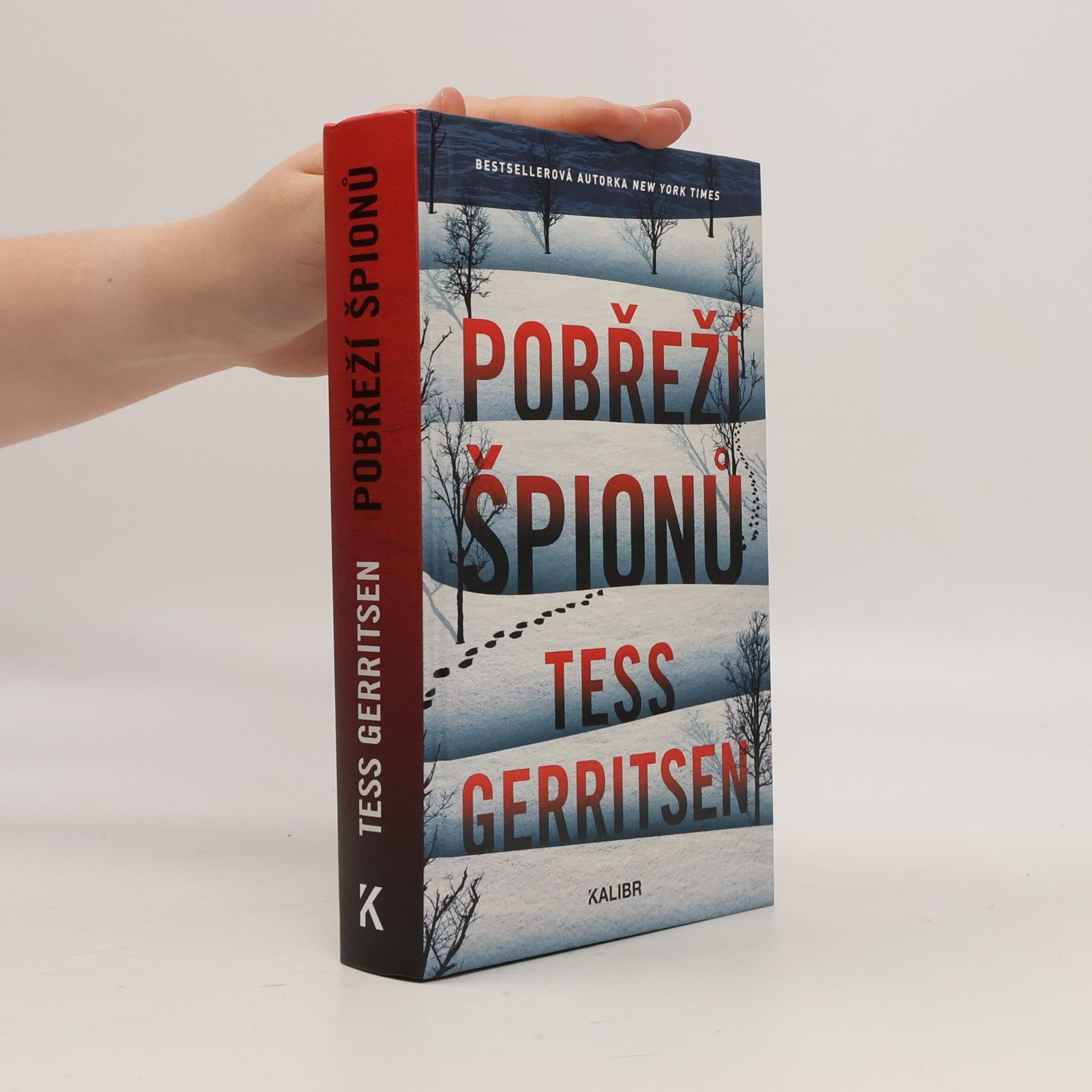 Tess Gerritsen Pobřeží špionů