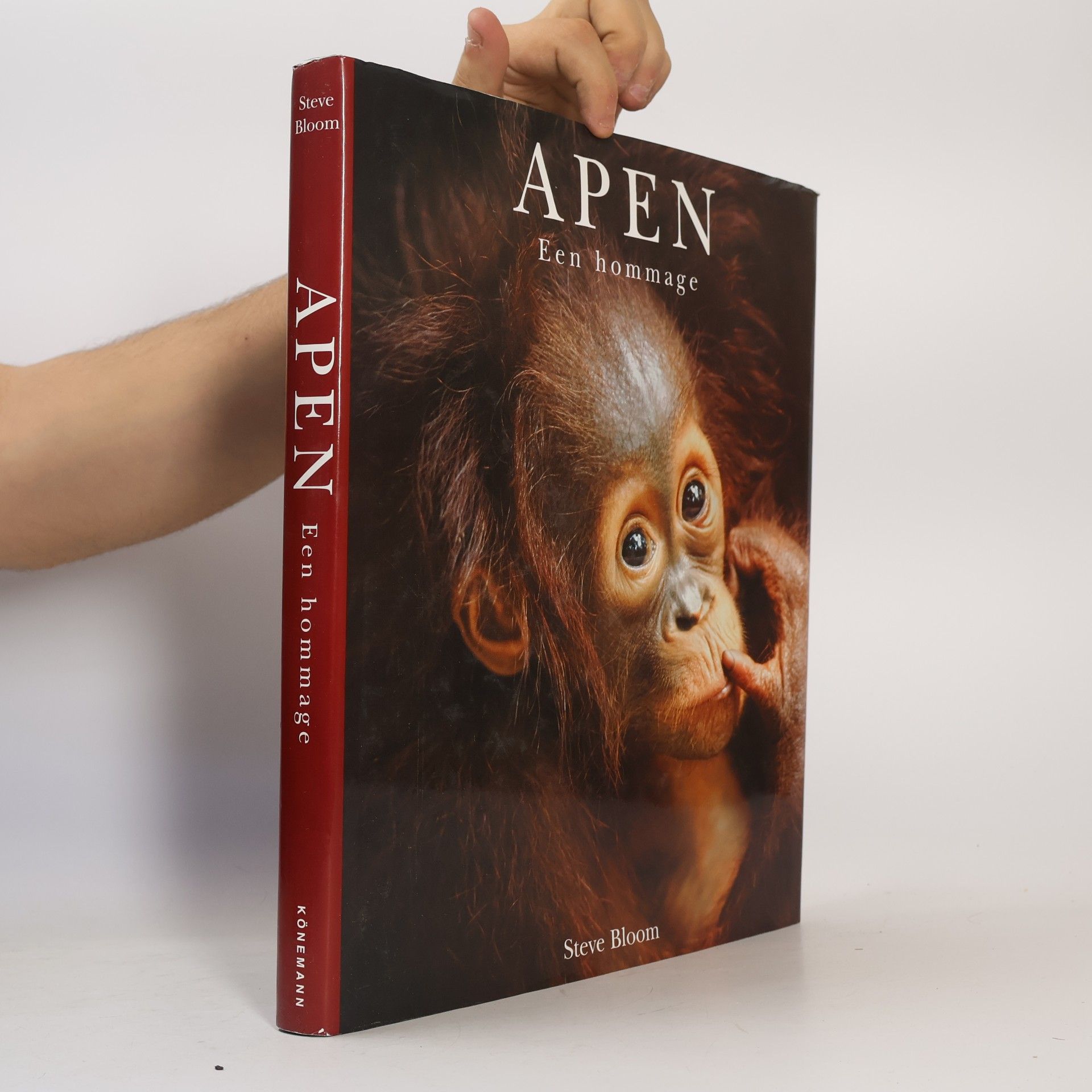 Anna Groeneveld Apen