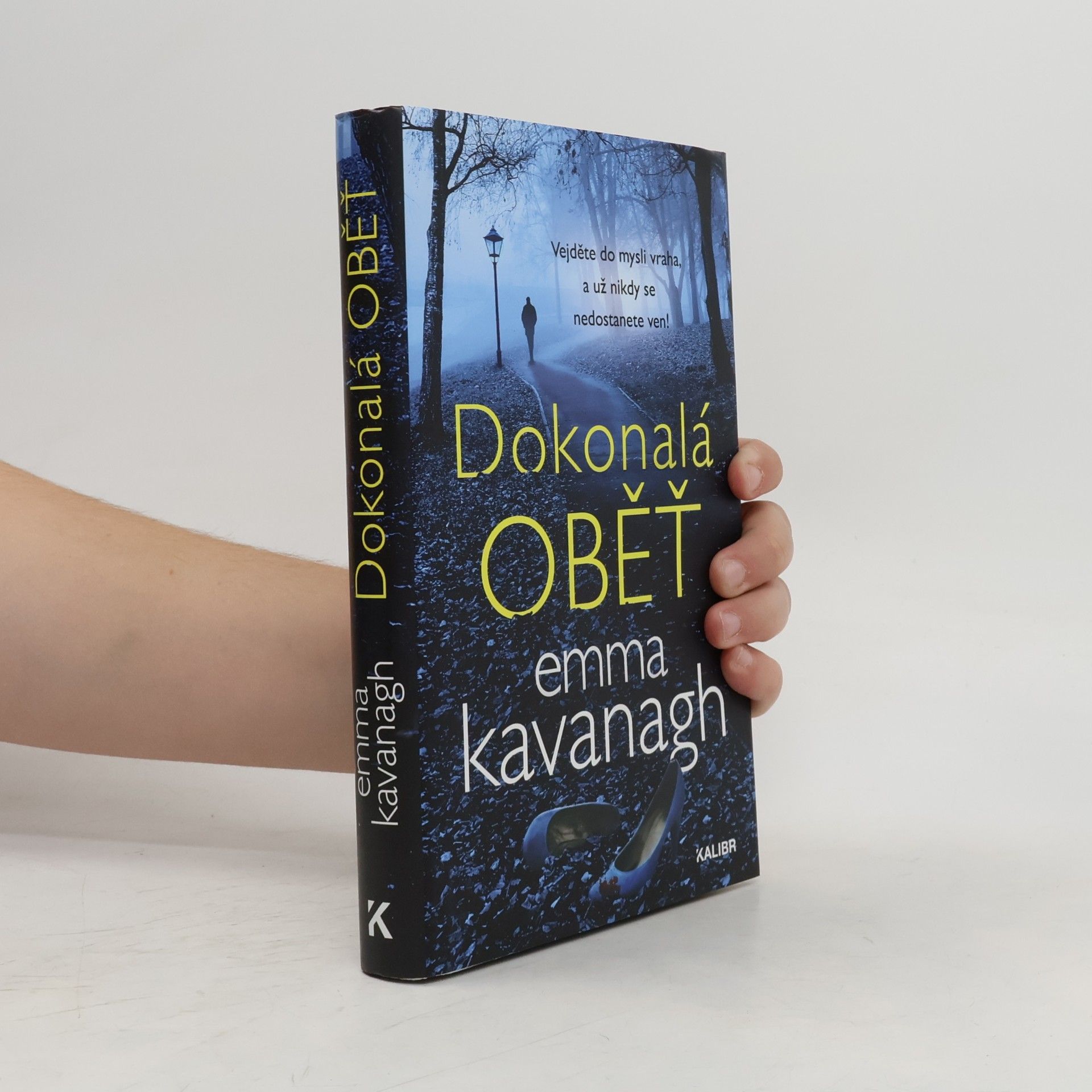 Emma Kavanagh Dokonalá oběť