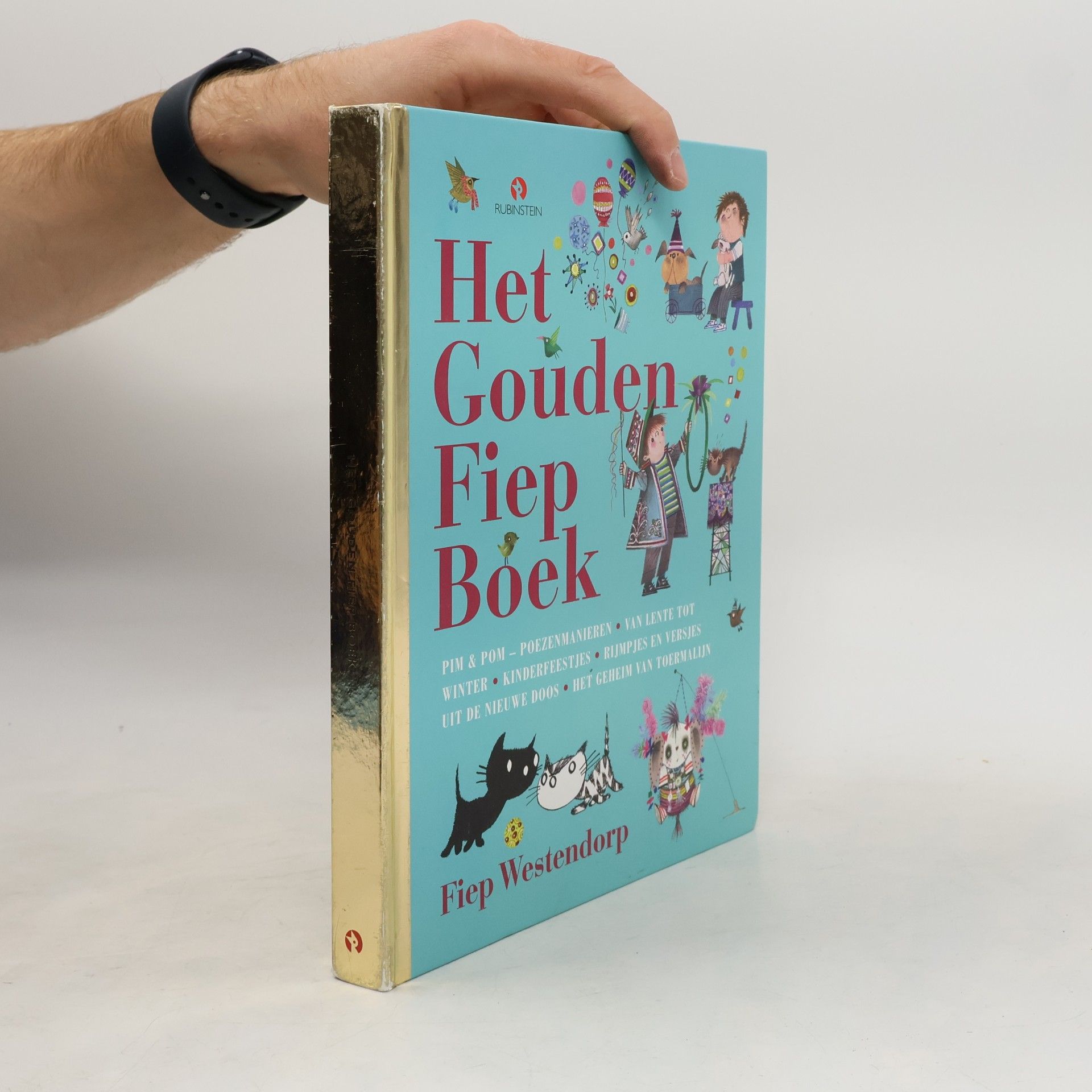 Hans van der Voort Het Gouden Fiep Boek