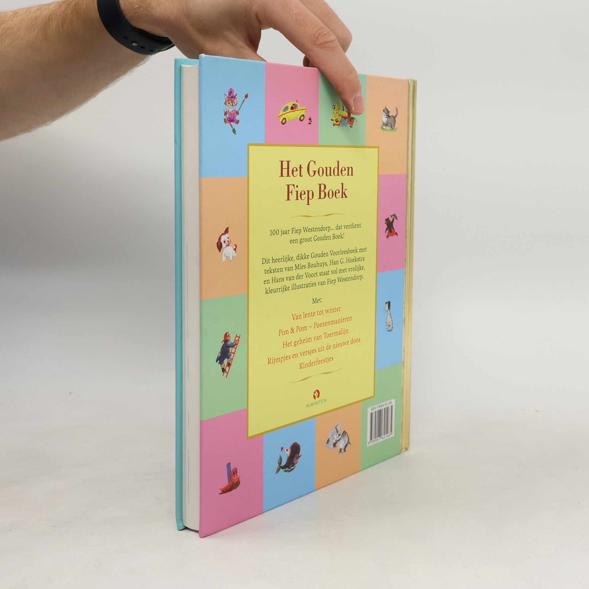 Fiep Westendorp Het Gouden Fiep Boek