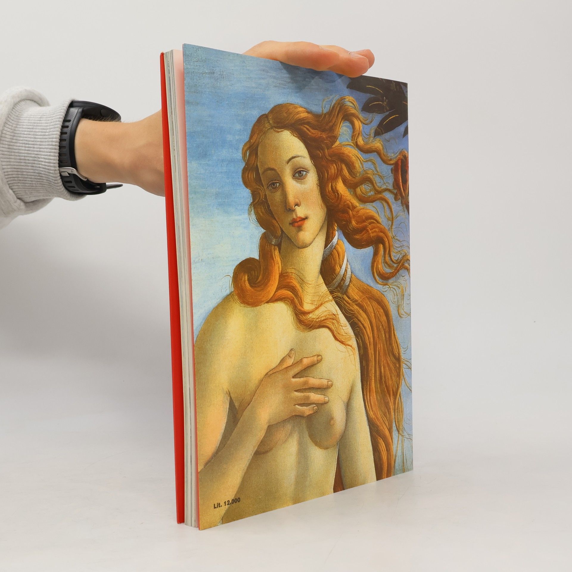 Archivio Becocci FIRENZE: TUTTI I CAPOLAVORI