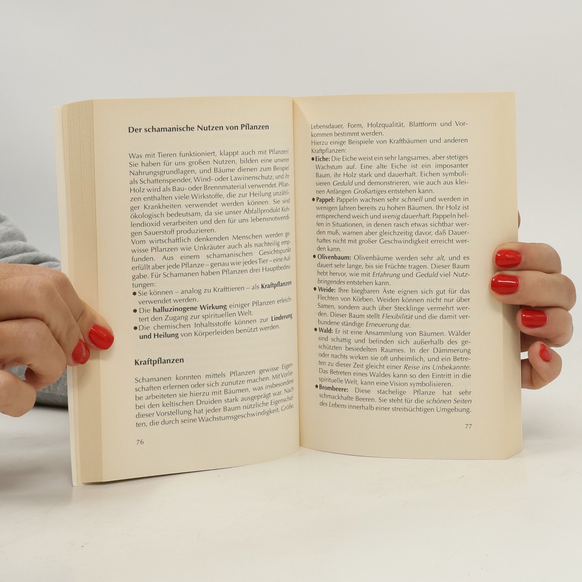 Jakob Oertli Schamanisches Praxisbuch