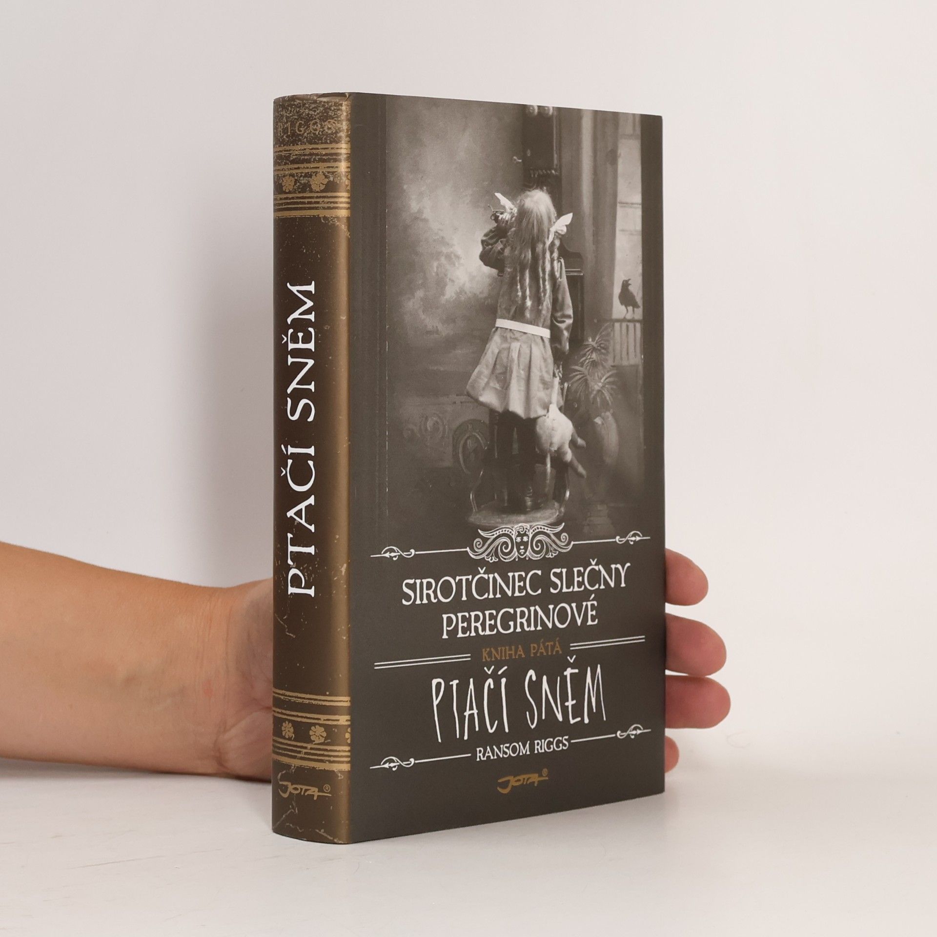 Ransom Riggs Ptačí sněm
