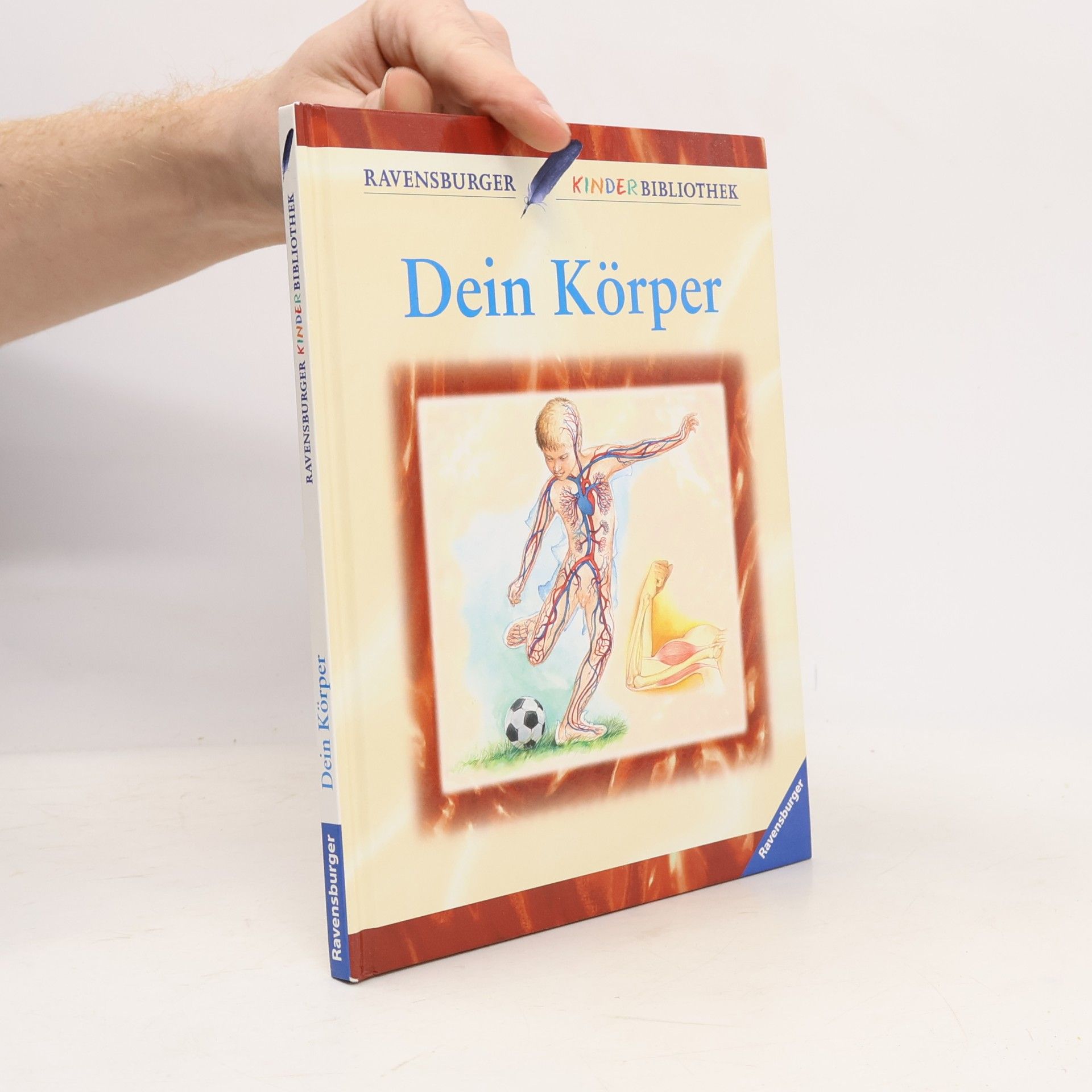 Dein Körper