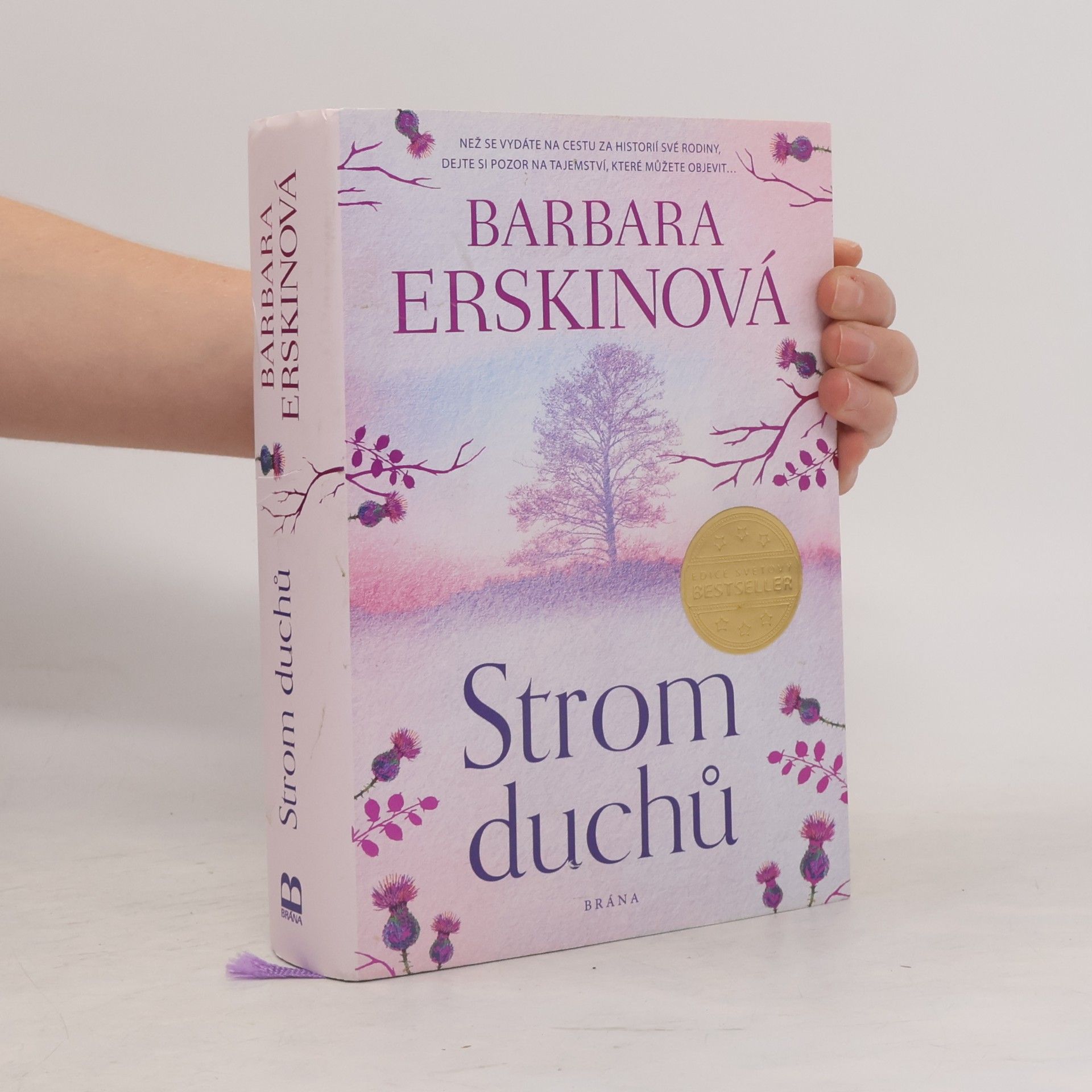 Barbara Erskine Strom duchů