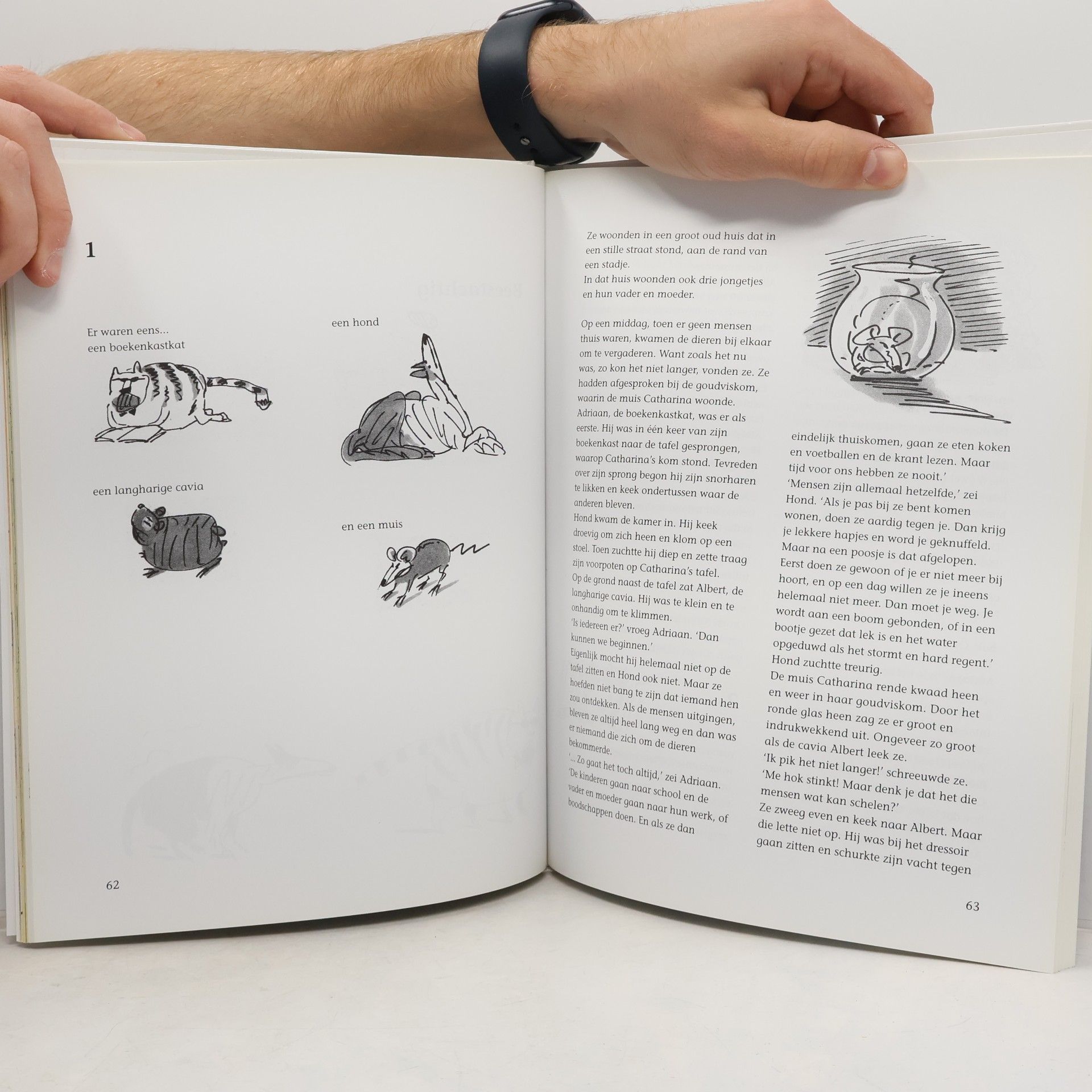 Rindert Kromhout Het Grote Lijsterboek van Rindert Kromhout