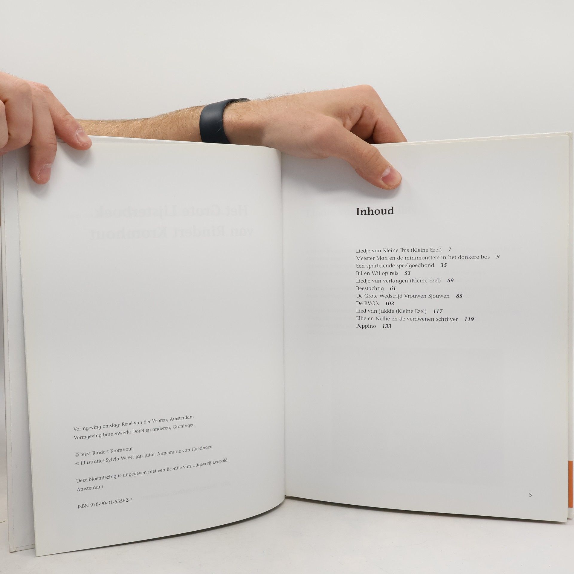 Rindert Kromhout Het Grote Lijsterboek van Rindert Kromhout