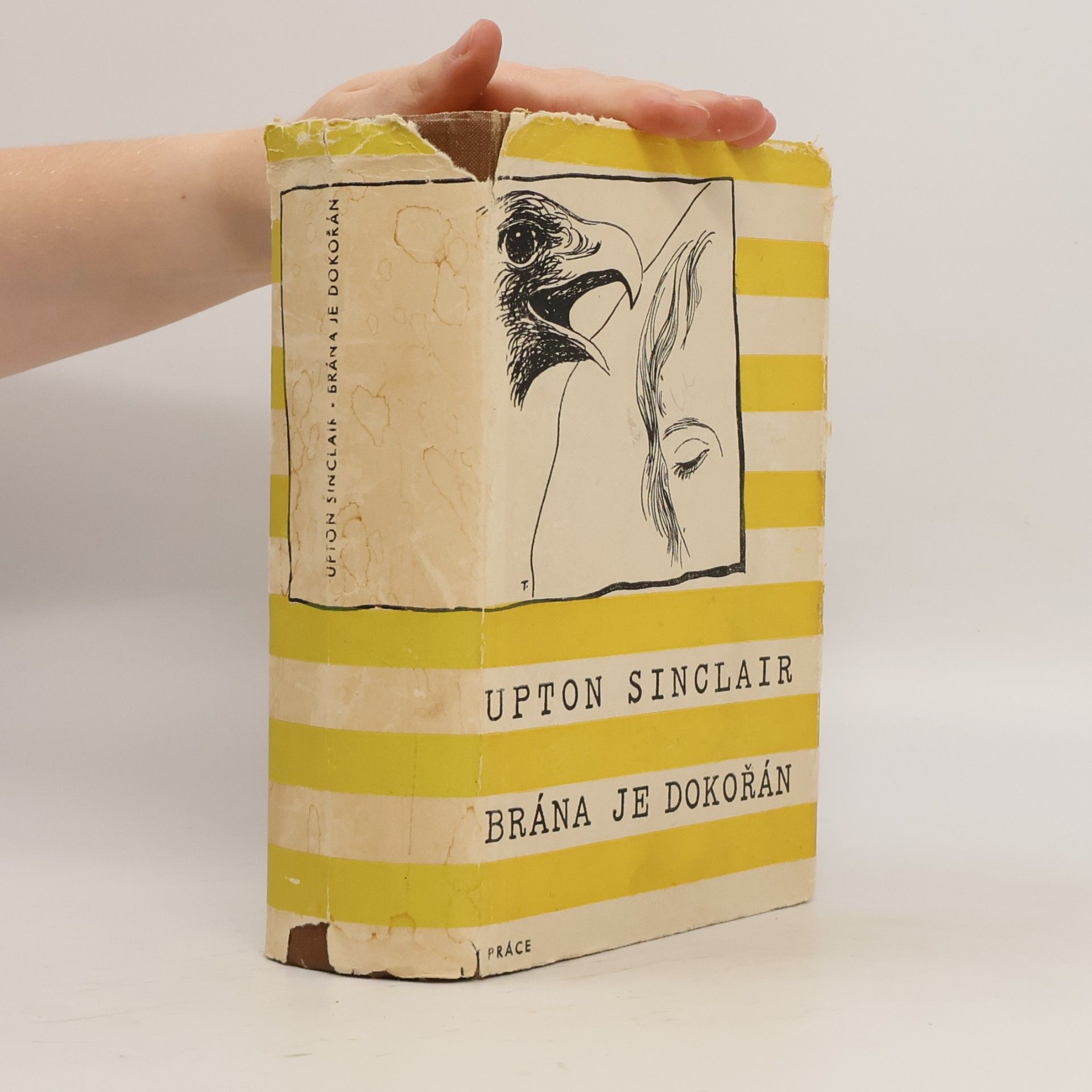 Upton Sinclair Brána je dokořán