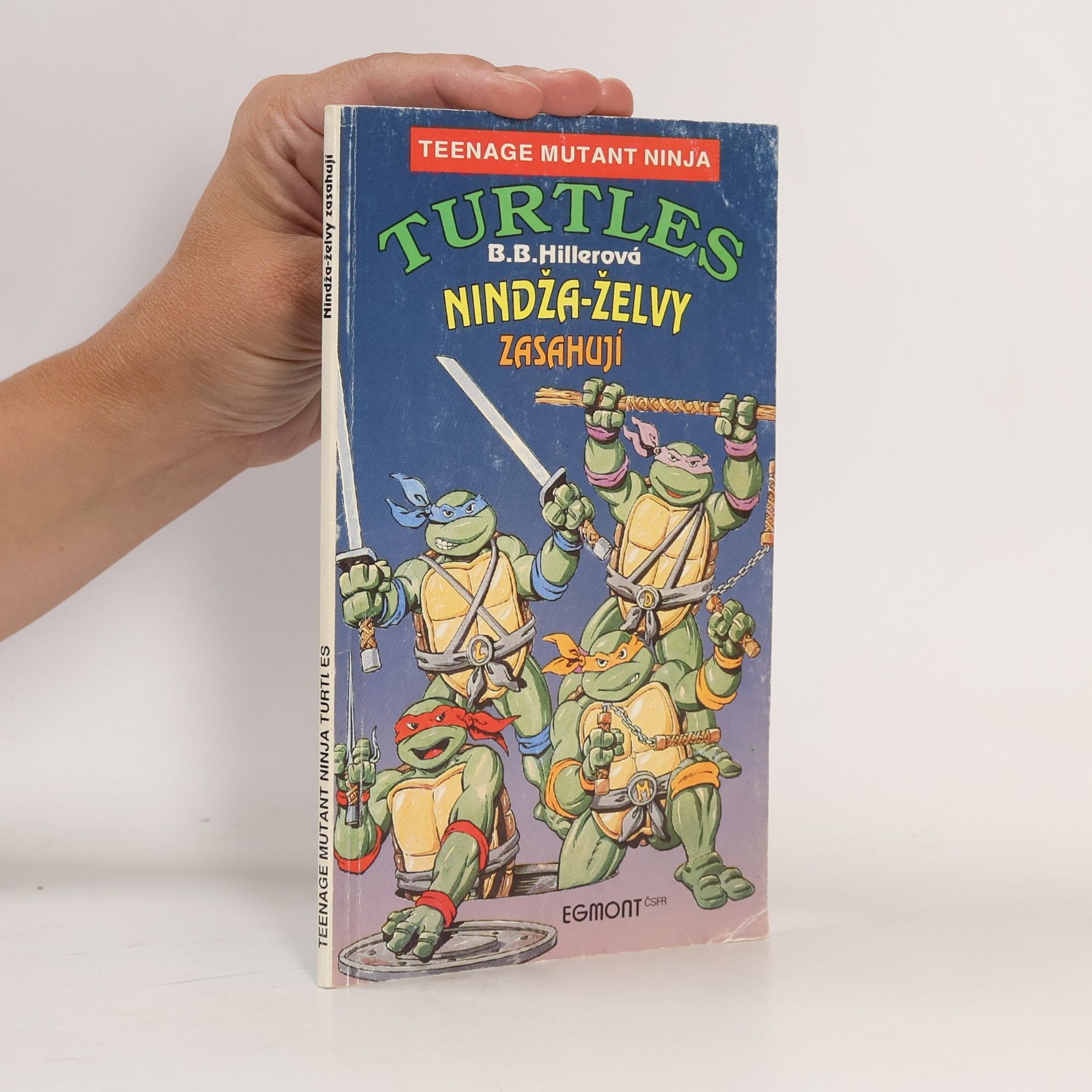 Teenage Mutant Ninja Turtles: Nindža-želvy zasahují