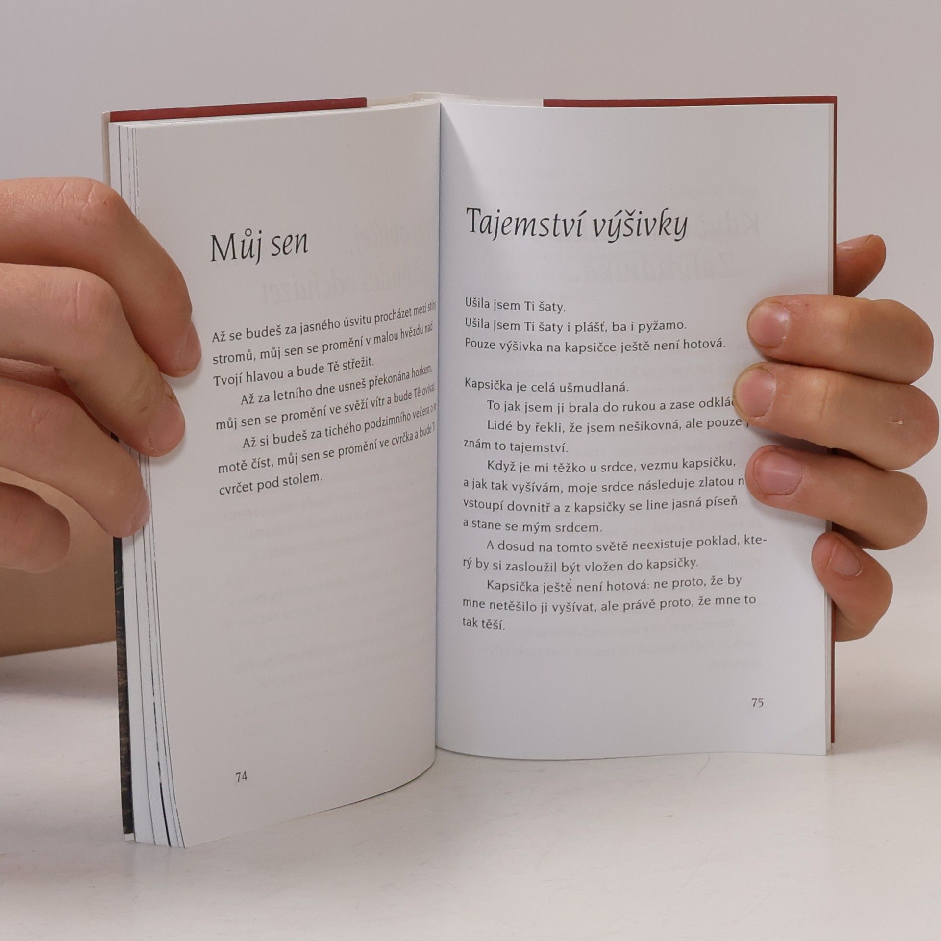 Ivana M. Gruberová Tvoje mlčení. Výbor z milostné poezie korejského buddhistického mnicha